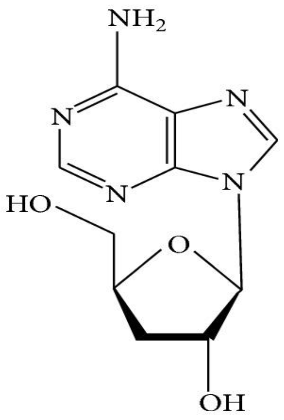 Microorganisms 10 00405 g003