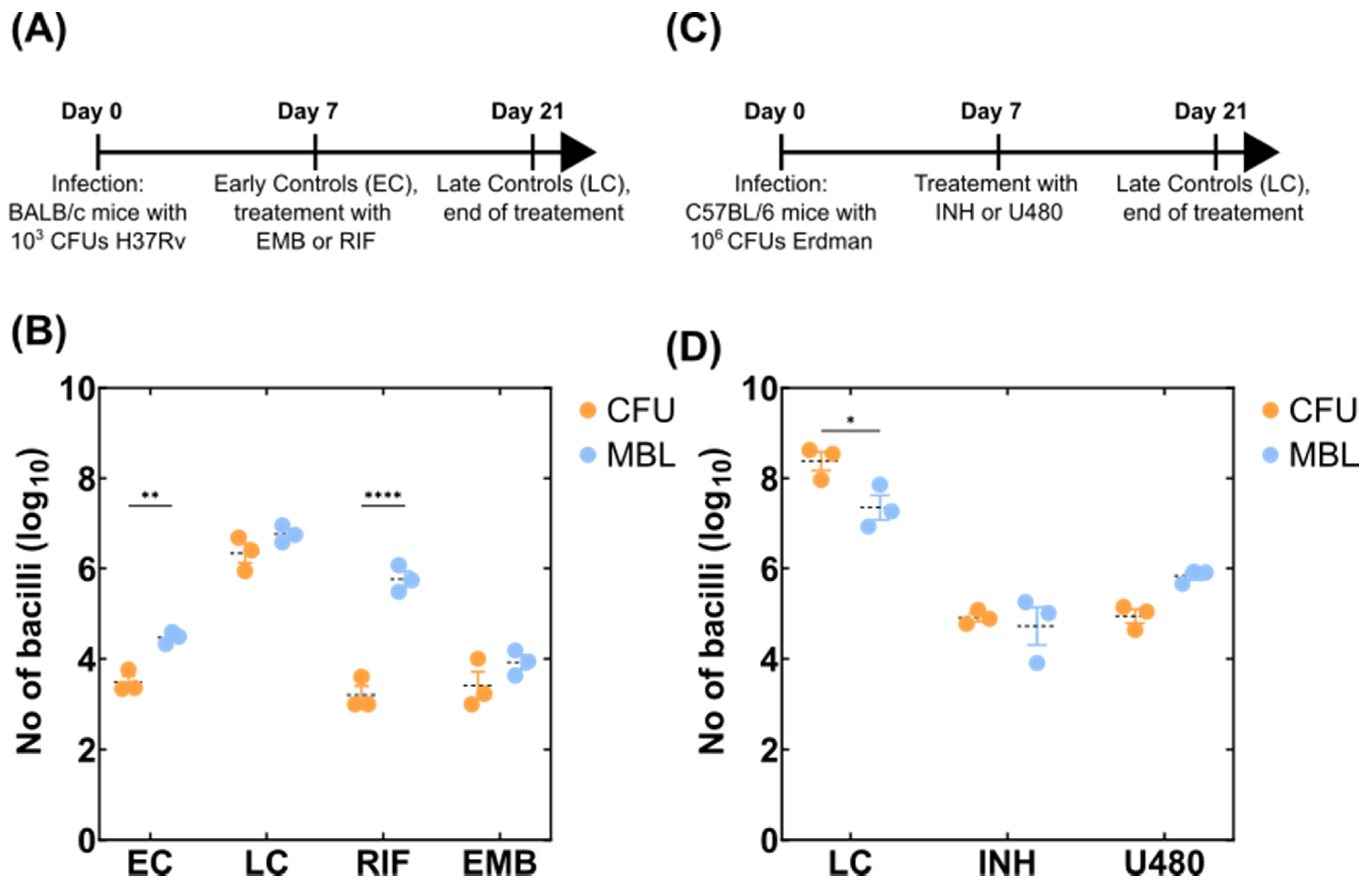 Microorganisms 10 00460 g002