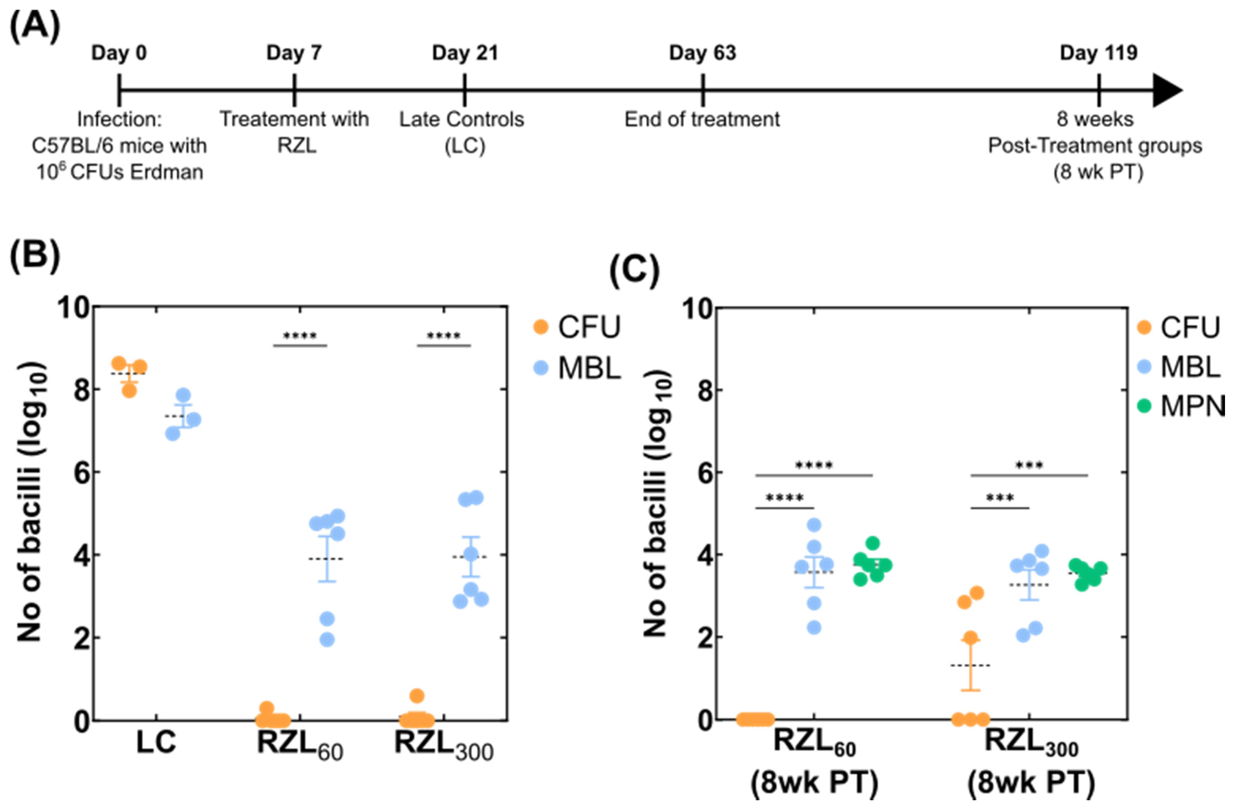 Microorganisms 10 00460 g003
