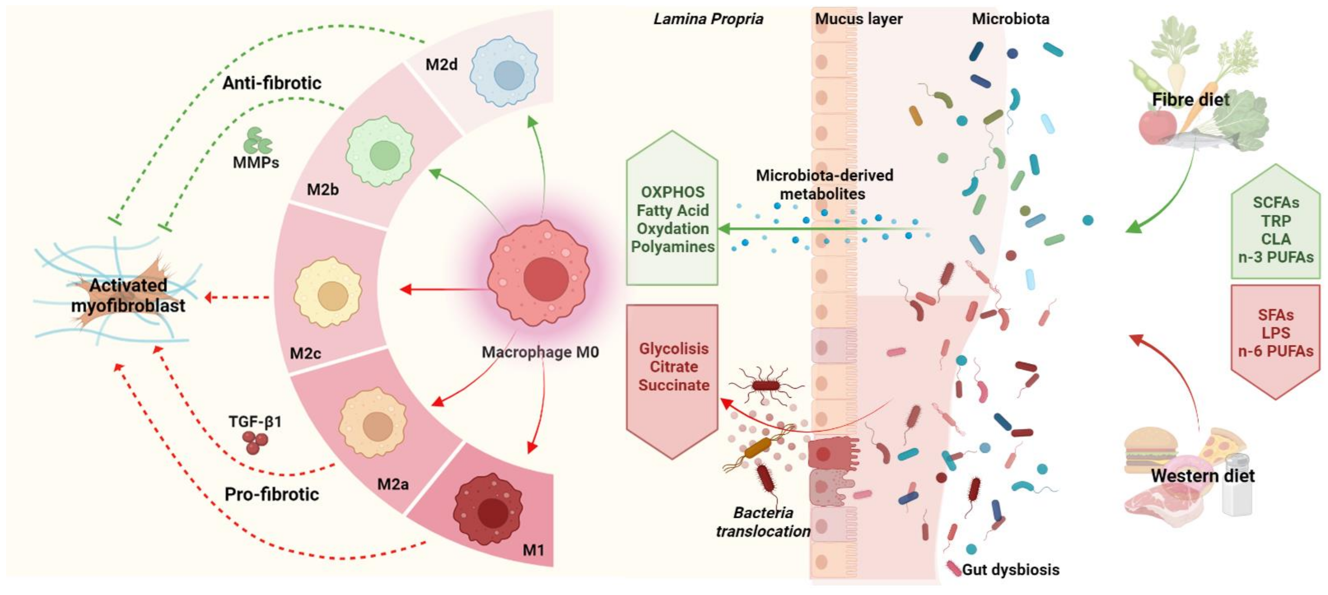Microorganisms 10 00490 g002