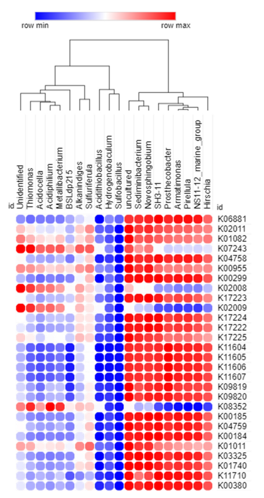 Microorganisms 10 00500 g008 Microorganisms 10 00500 g008