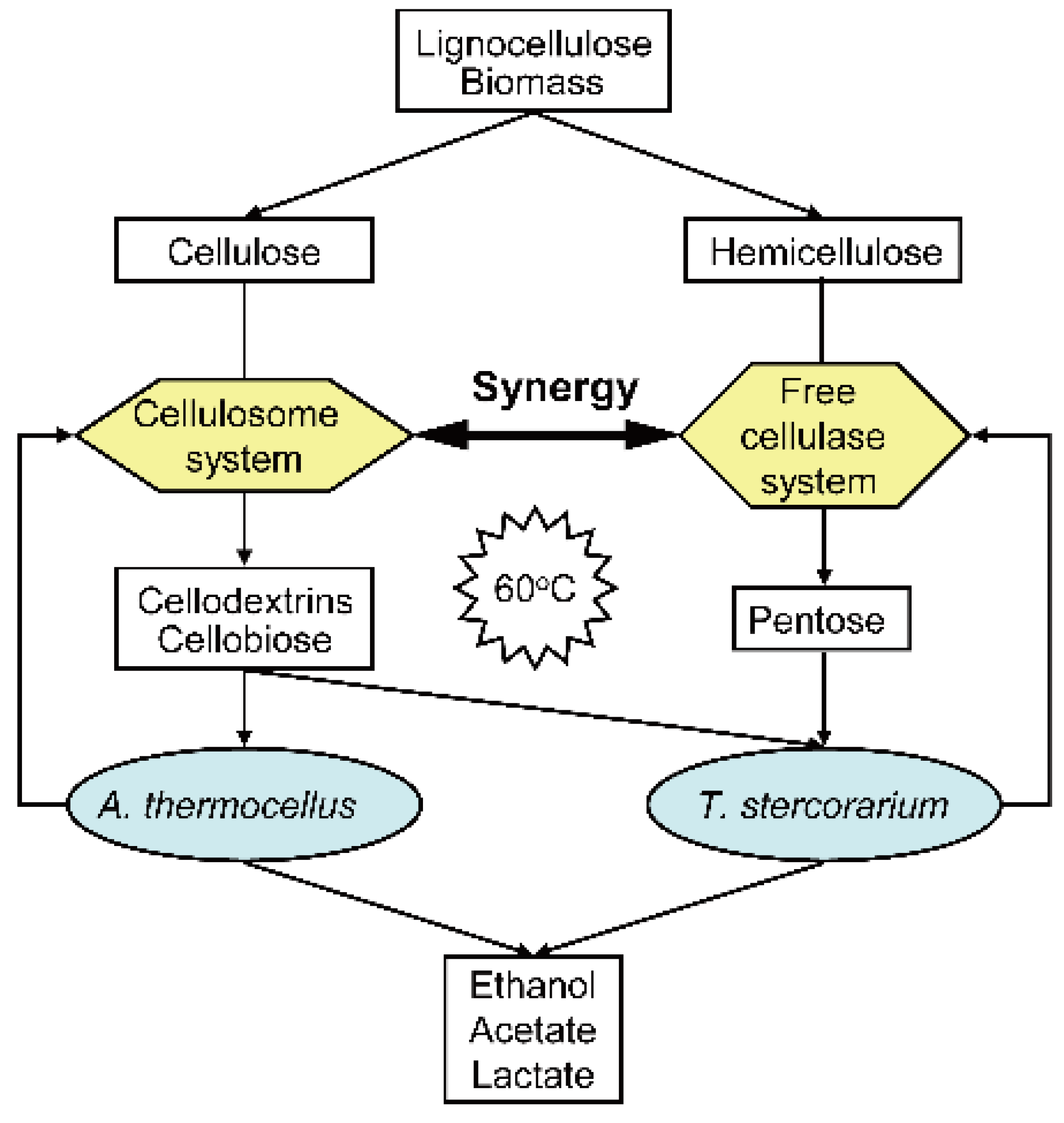 Microorganisms 10 00502 g004