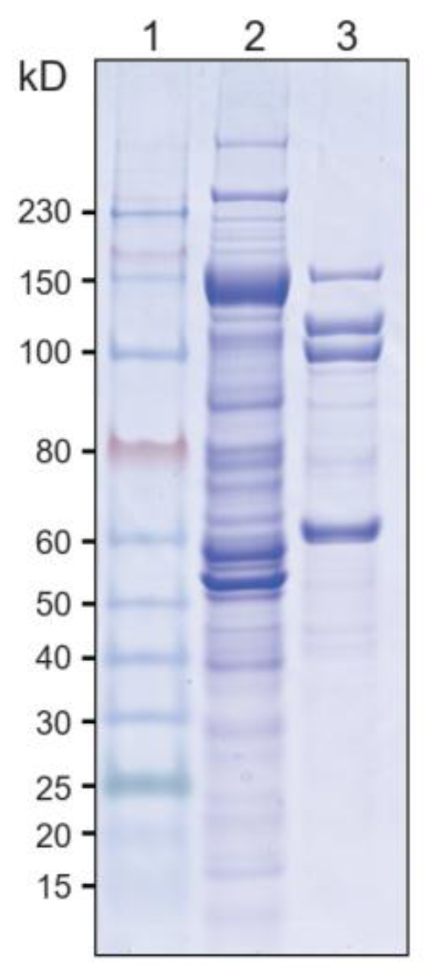 Microorganisms 10 00502 g0a1