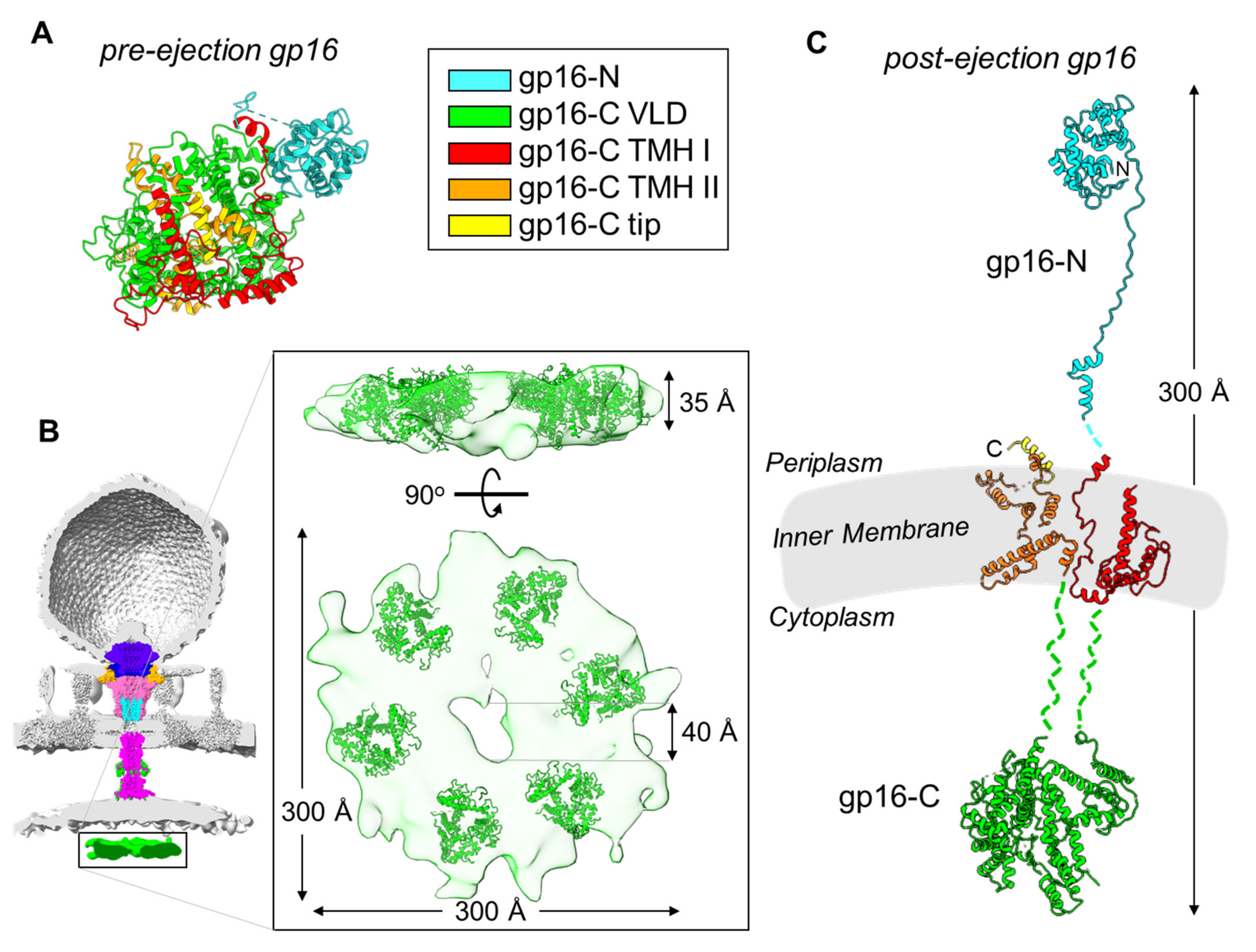 Microorganisms 10 00504 g003