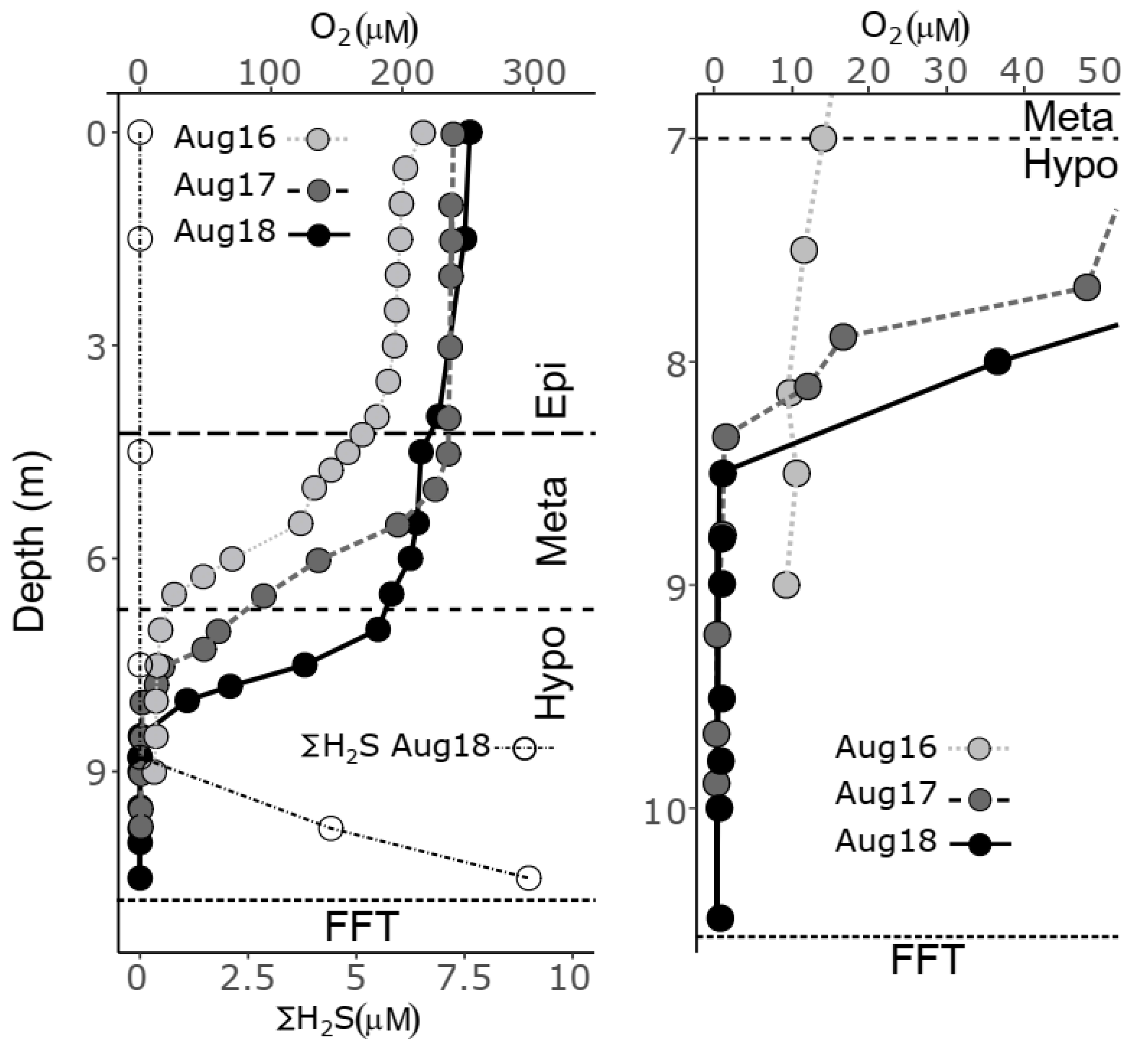 Microorganisms 10 00510 g002