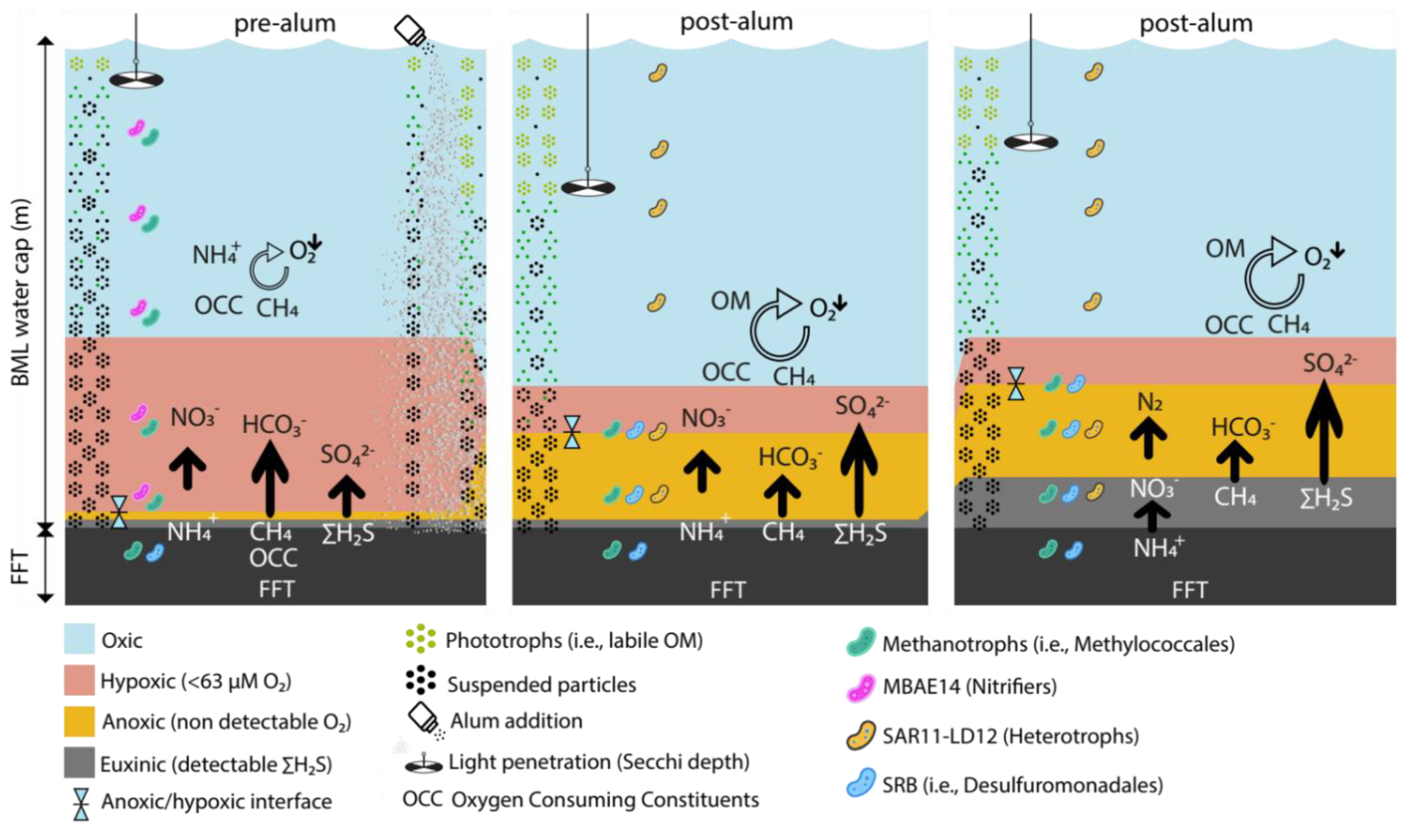 Microorganisms 10 00510 g005