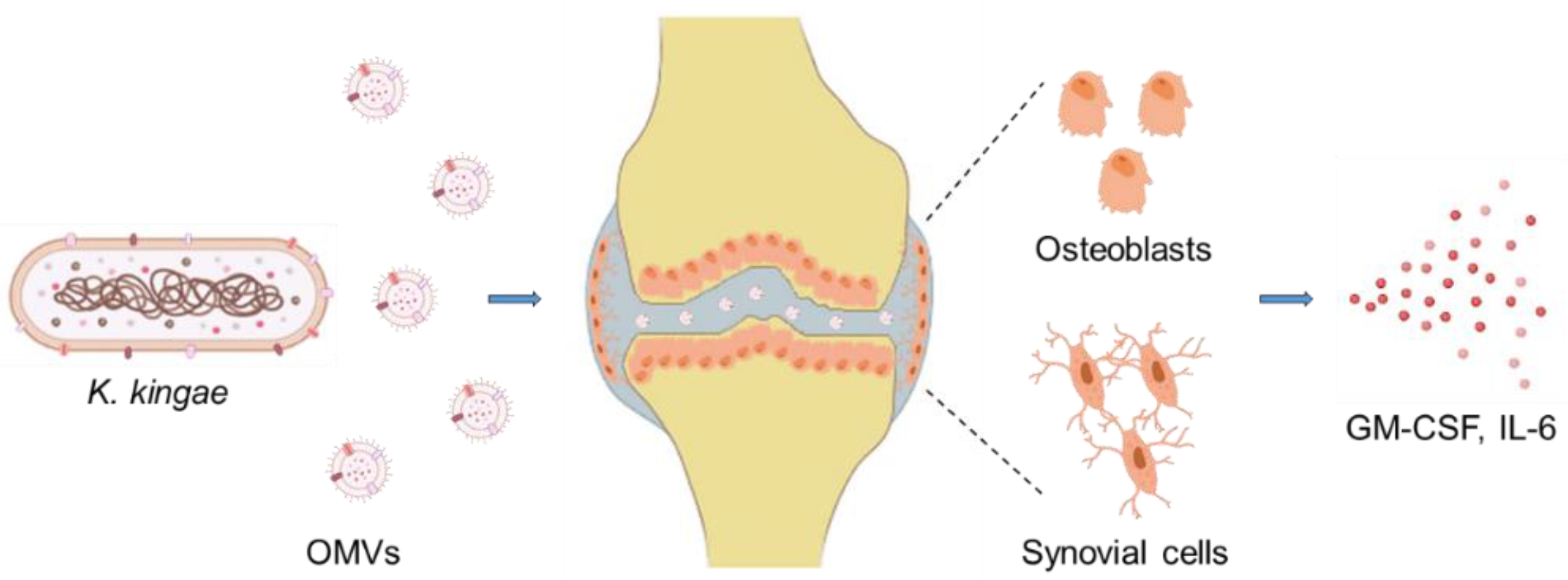 Microorganisms 10 00518 g008
