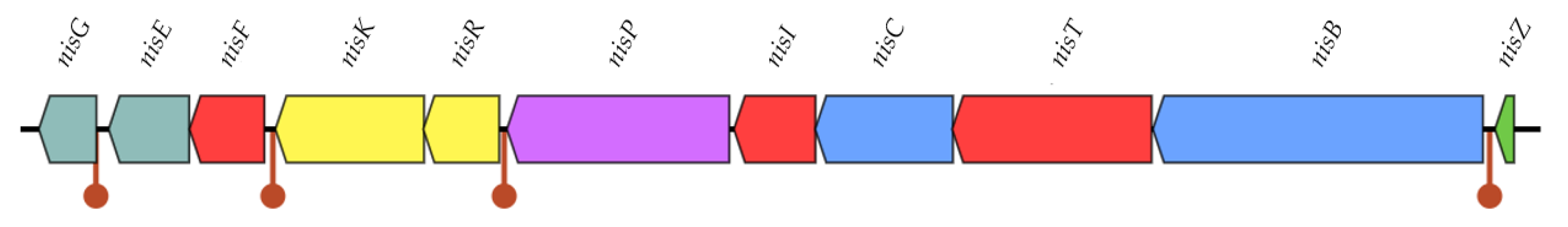Microorganisms 10 00521 g002