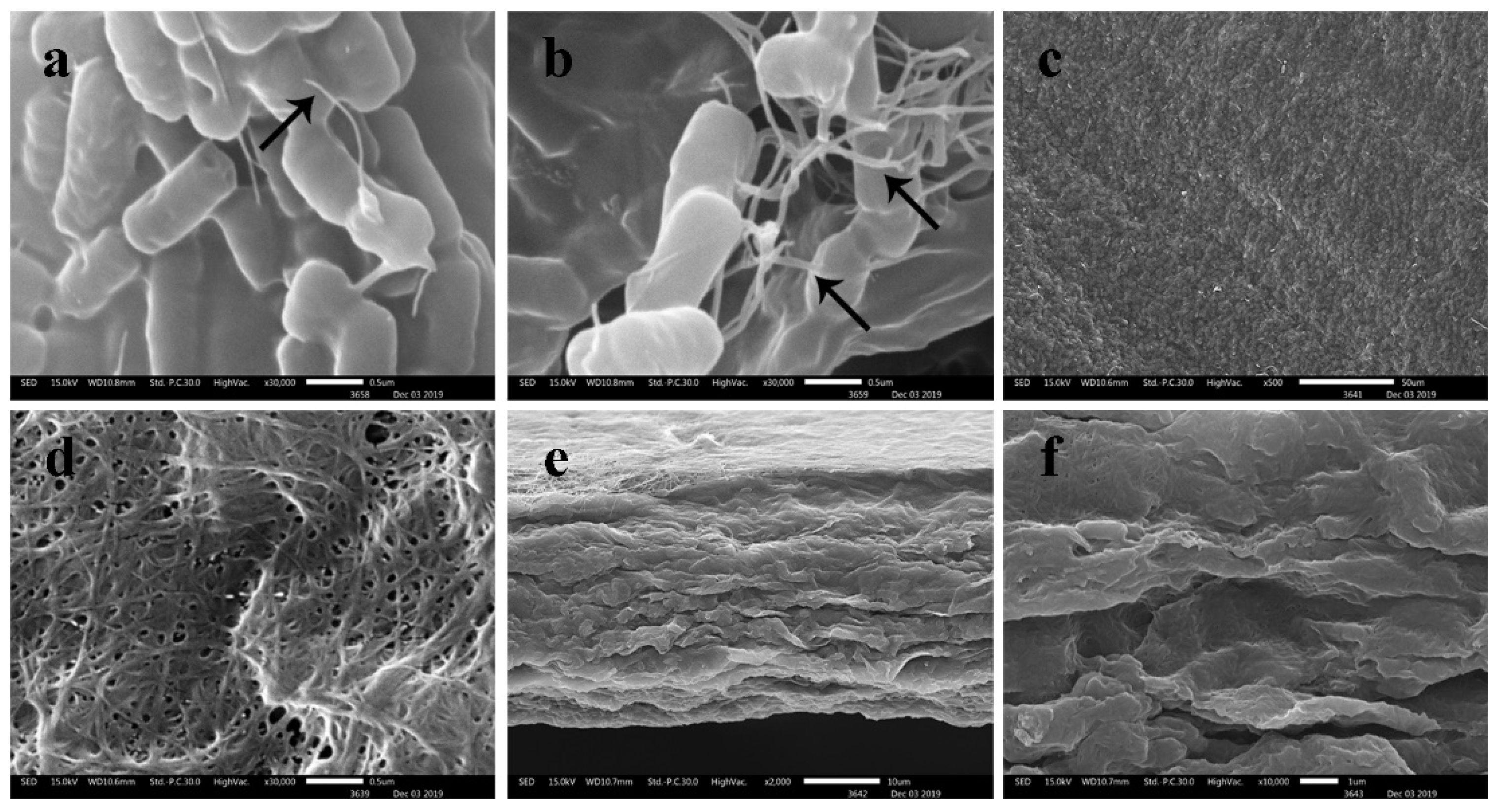 Microorganisms 10 00528 g007