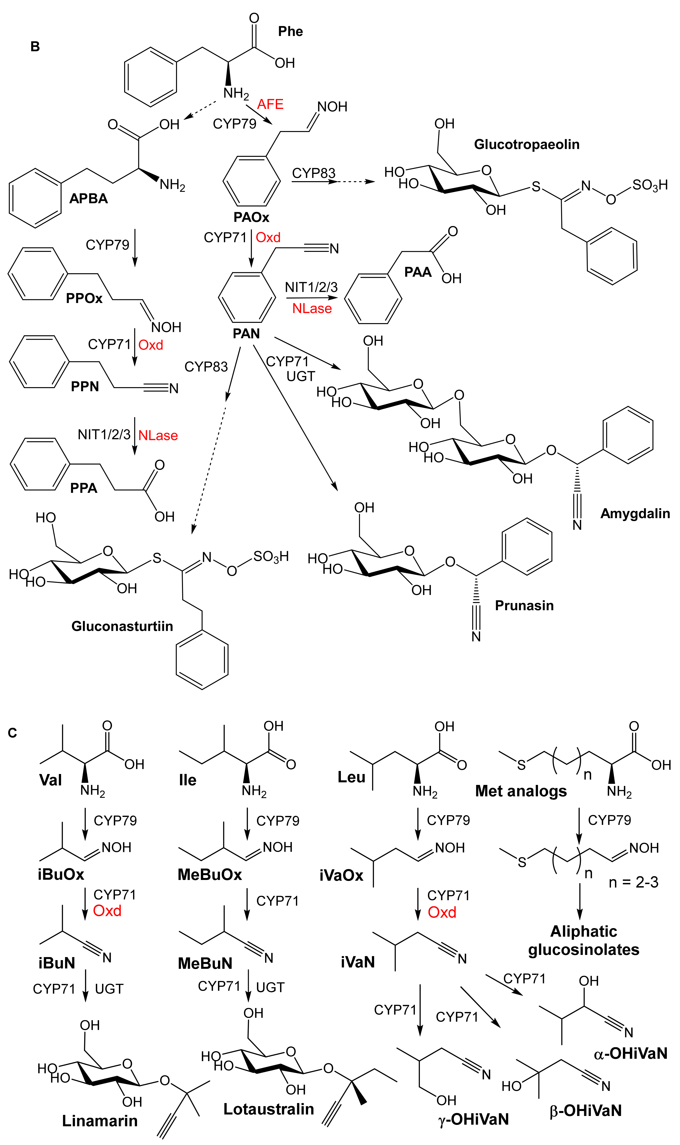 Microorganisms 10 00549 g003b