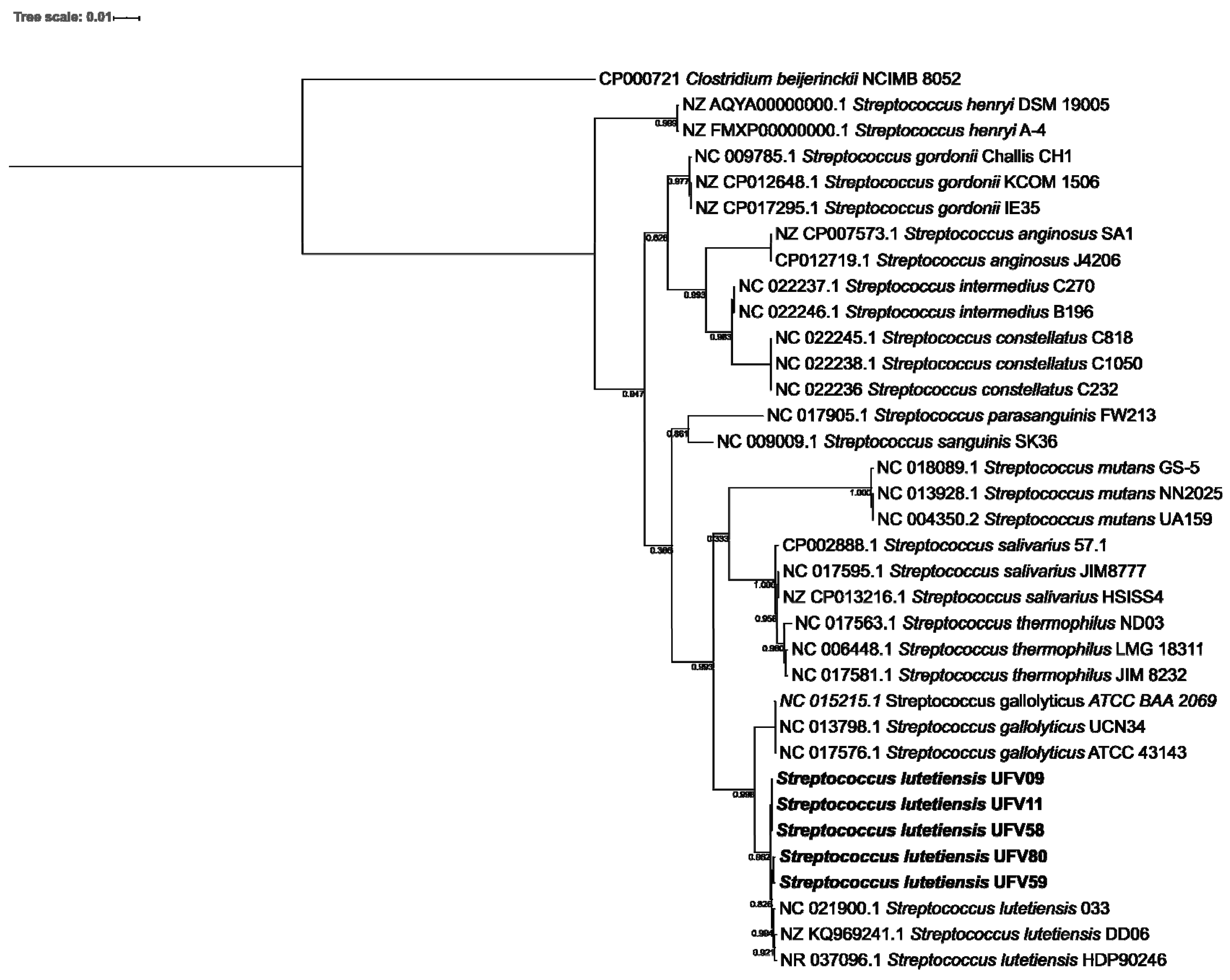 Microorganisms 10 00551 g001