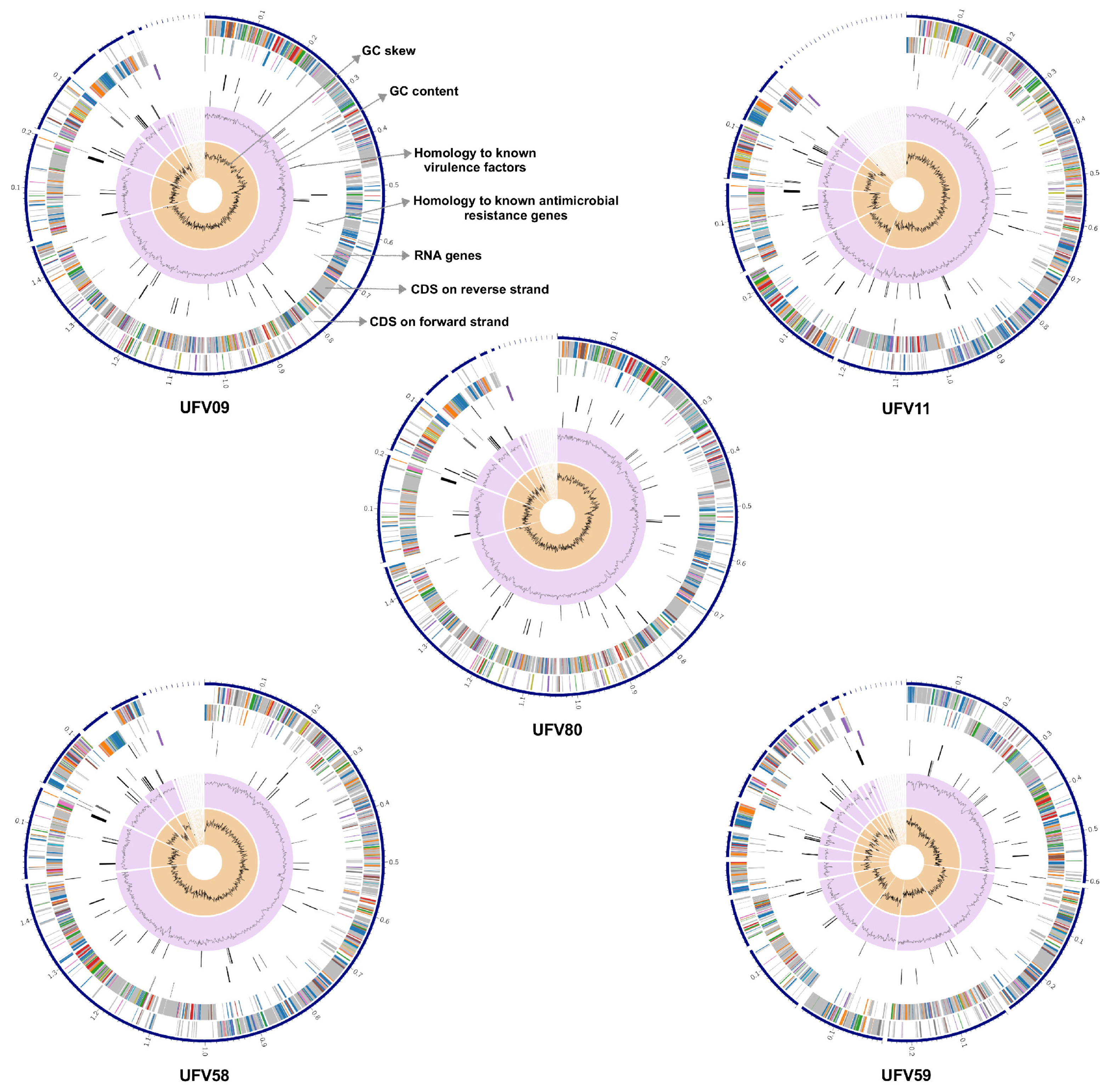 Microorganisms 10 00551 g002