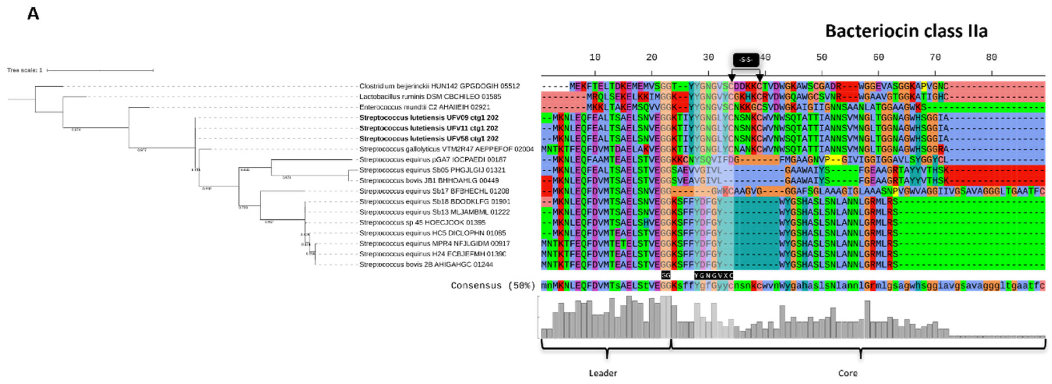 Microorganisms 10 00551 g007a