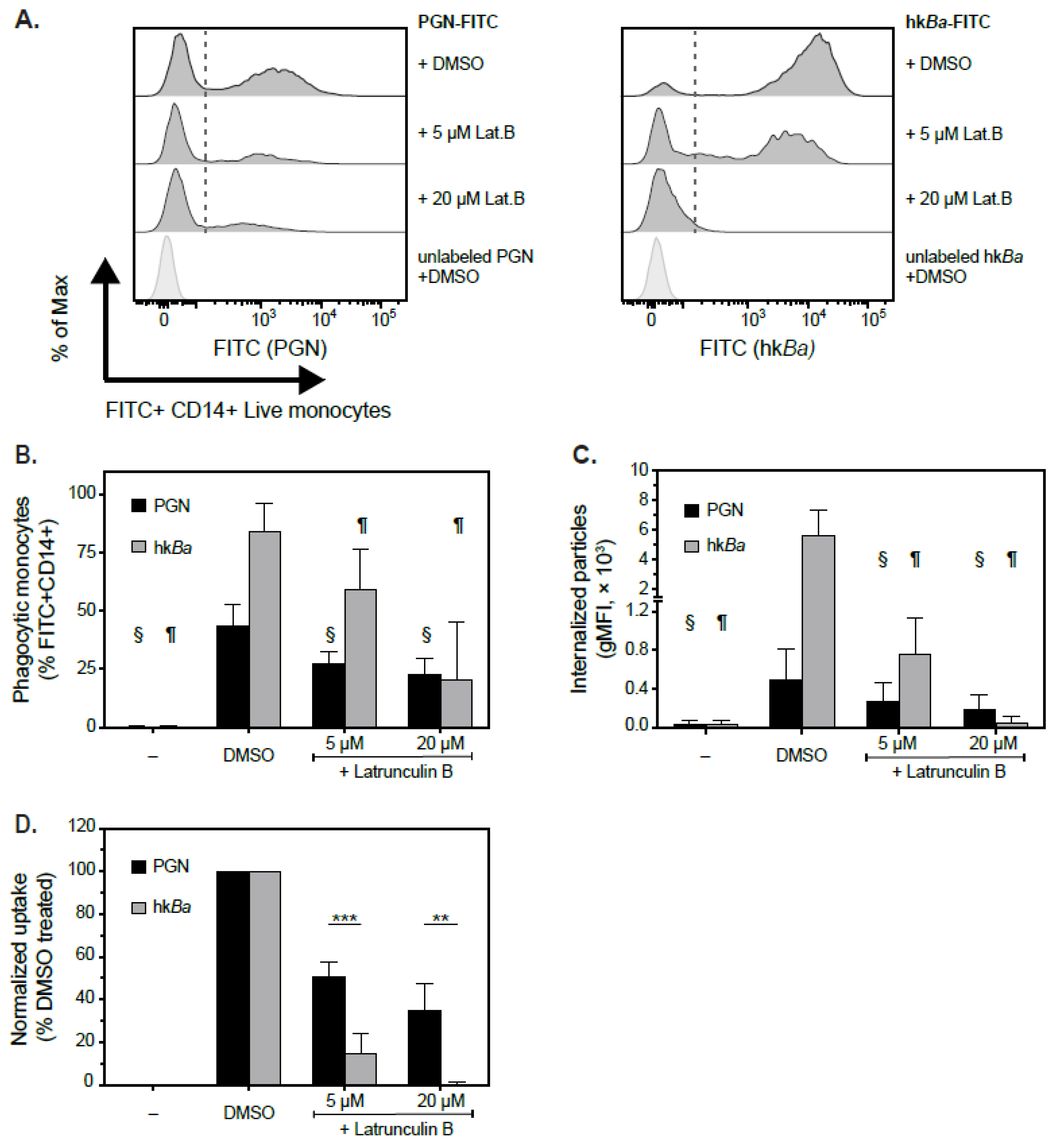 Microorganisms 10 00552 g002