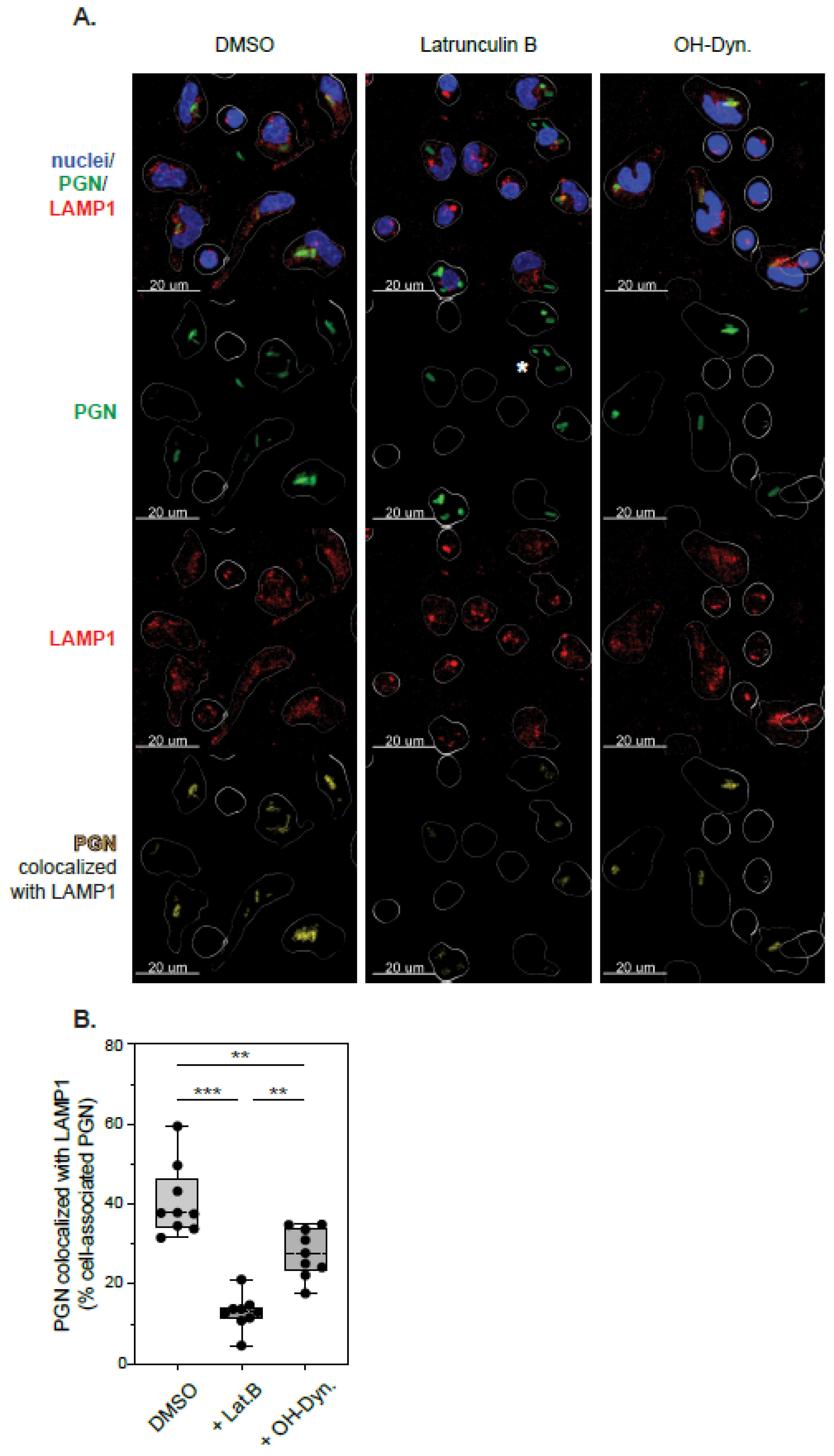 Microorganisms 10 00552 g005