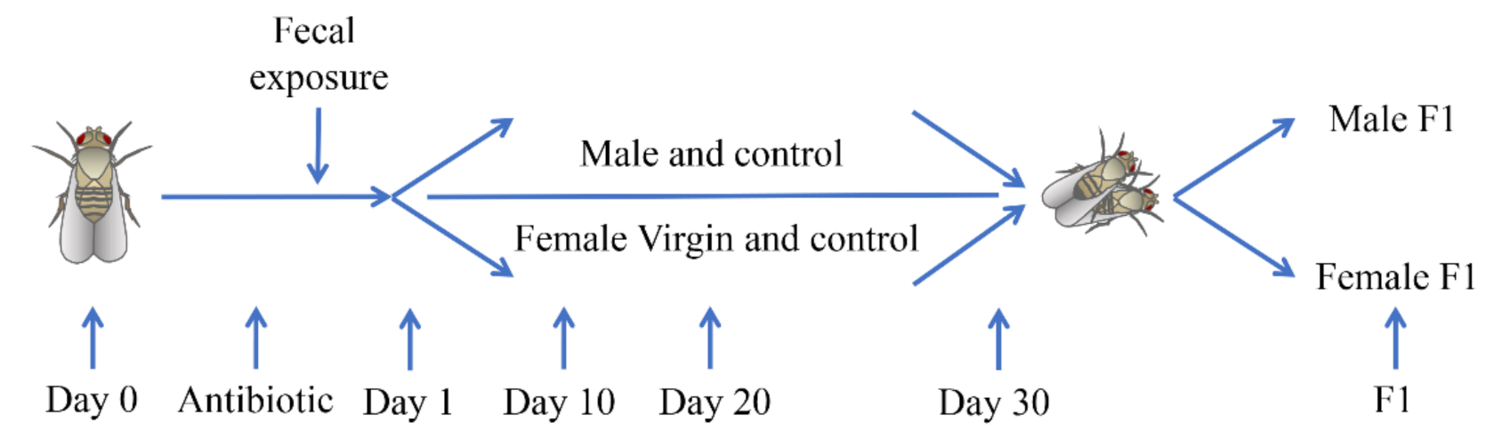 Microorganisms 10 00553 g001 Microorganisms 10 00553 g001