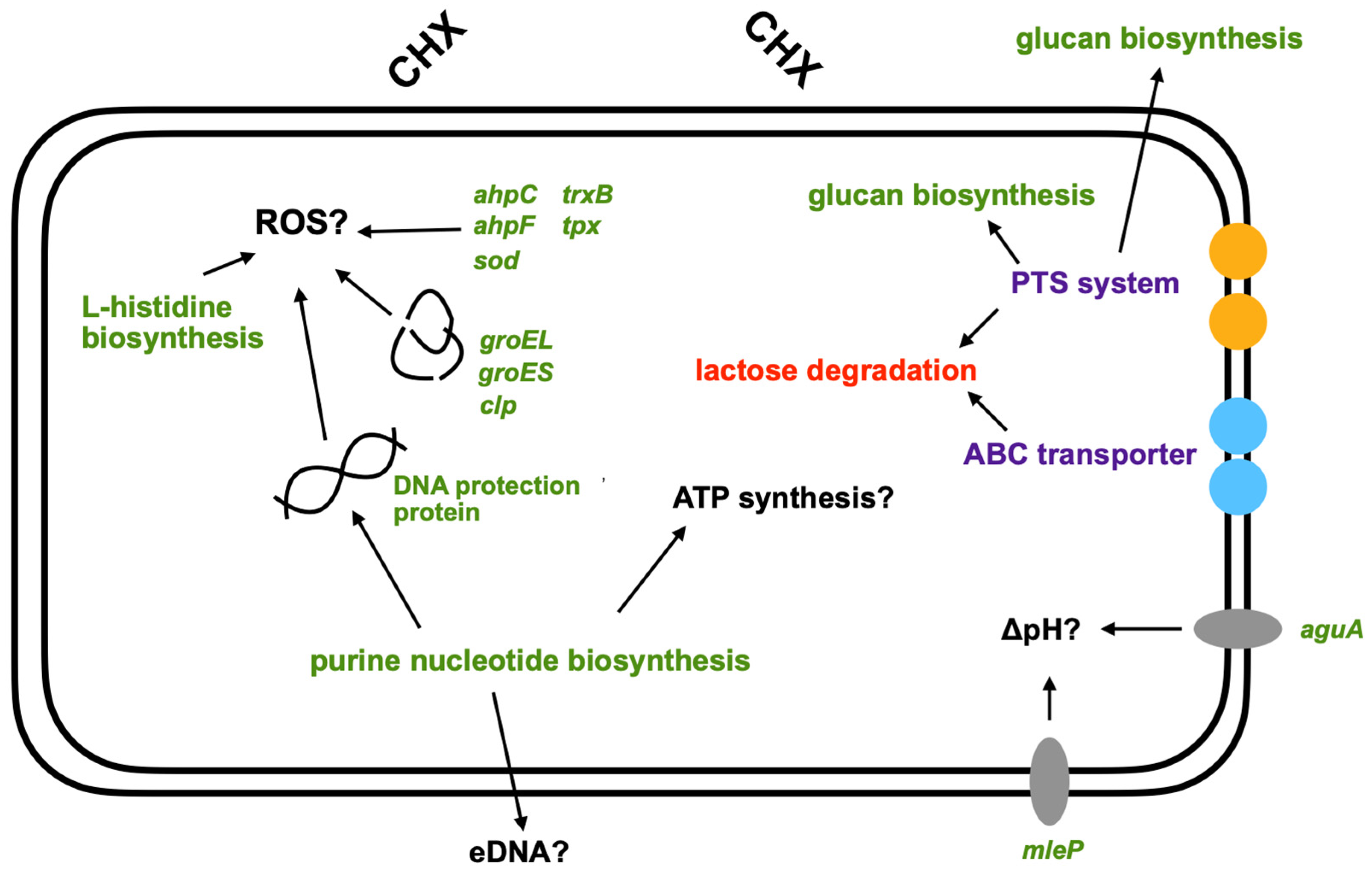Microorganisms 10 00561 g003