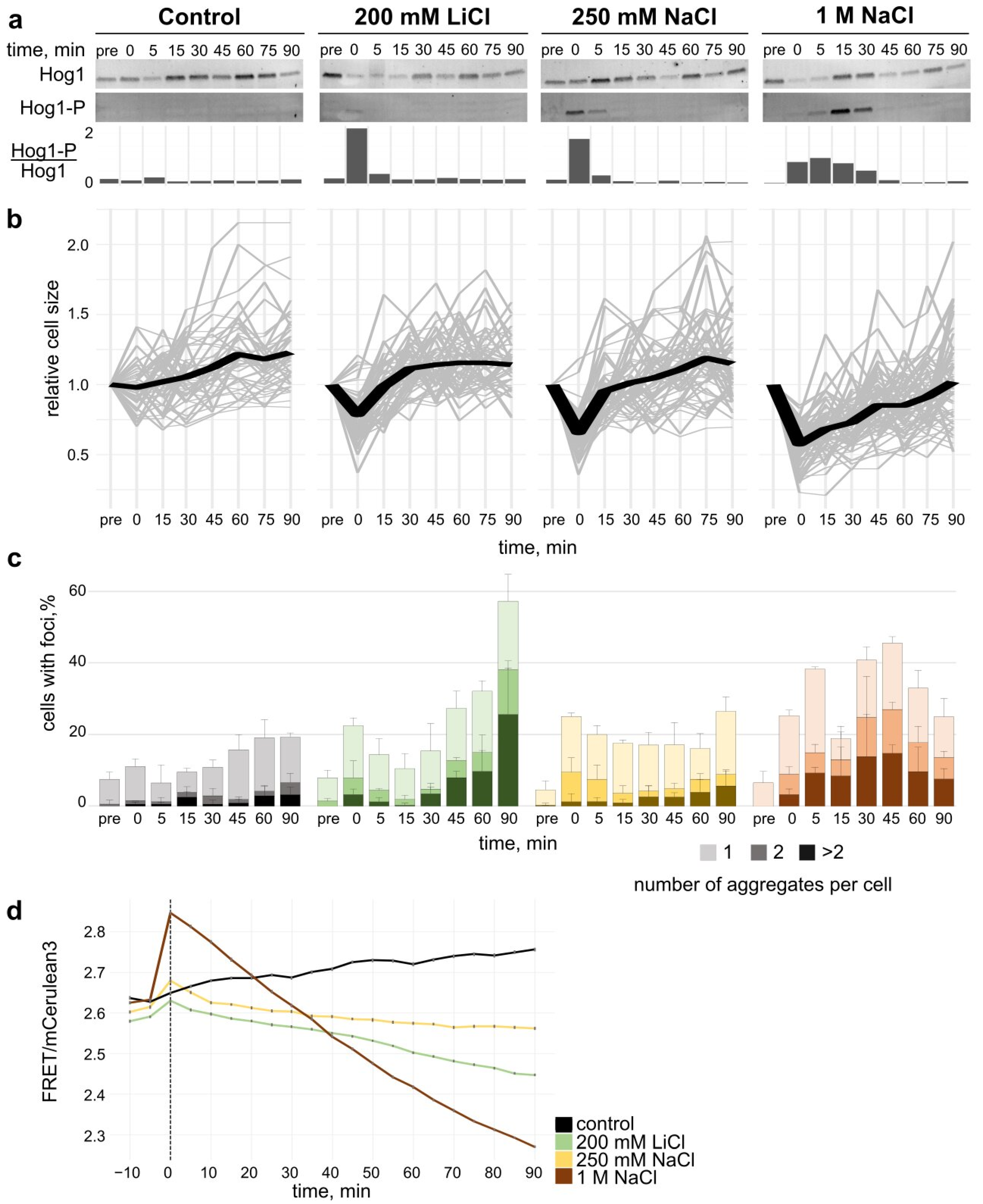 Microorganisms 10 00590 g002 Microorganisms 10 00590 g002