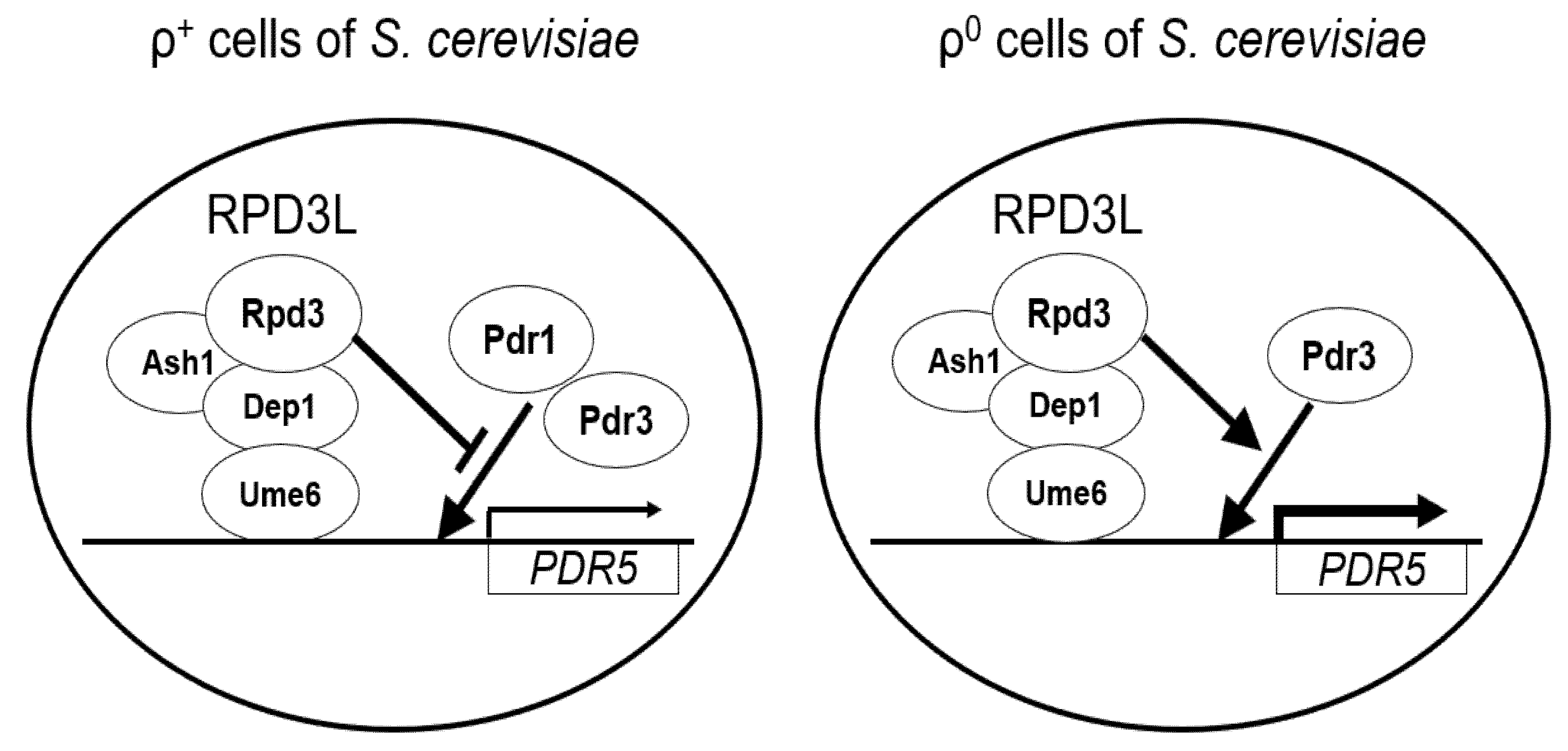 Microorganisms 10 00601 g005