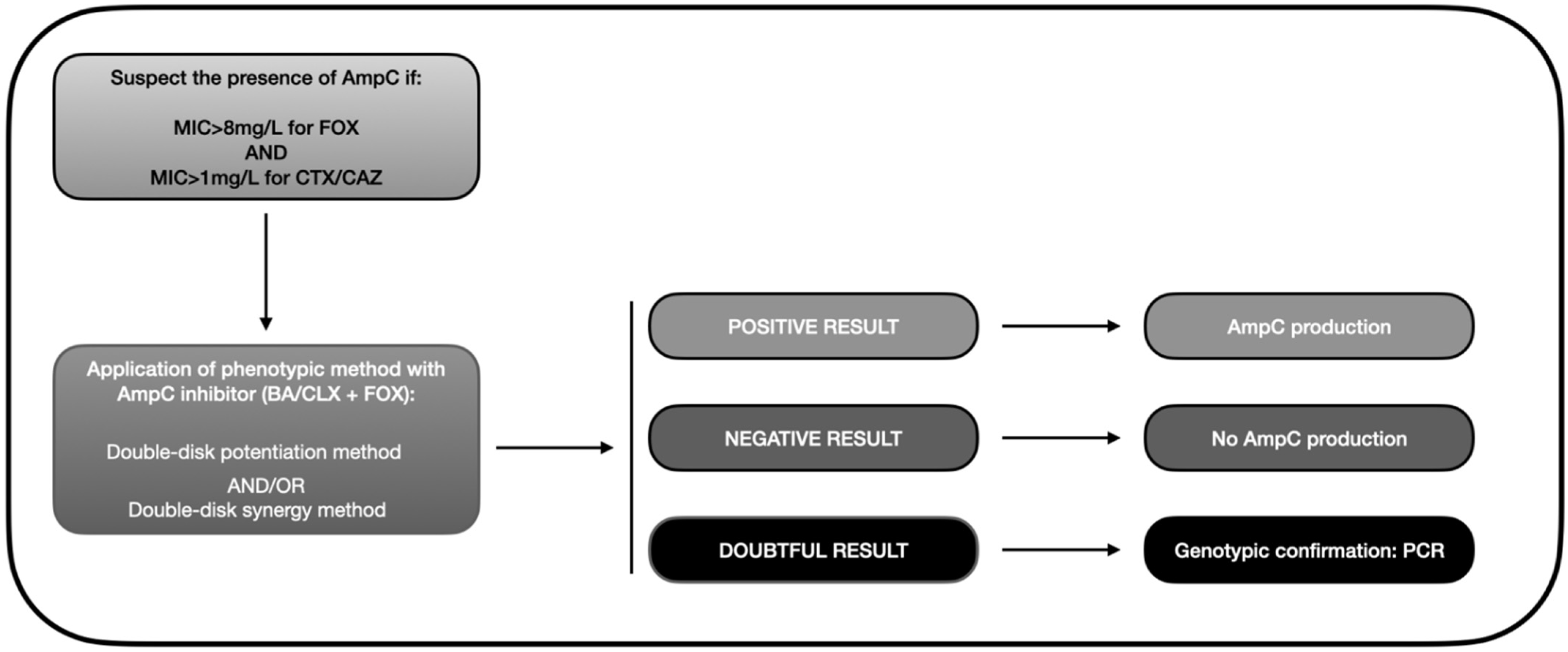 Microorganisms Free Full Text Systematic Review of Plasmid