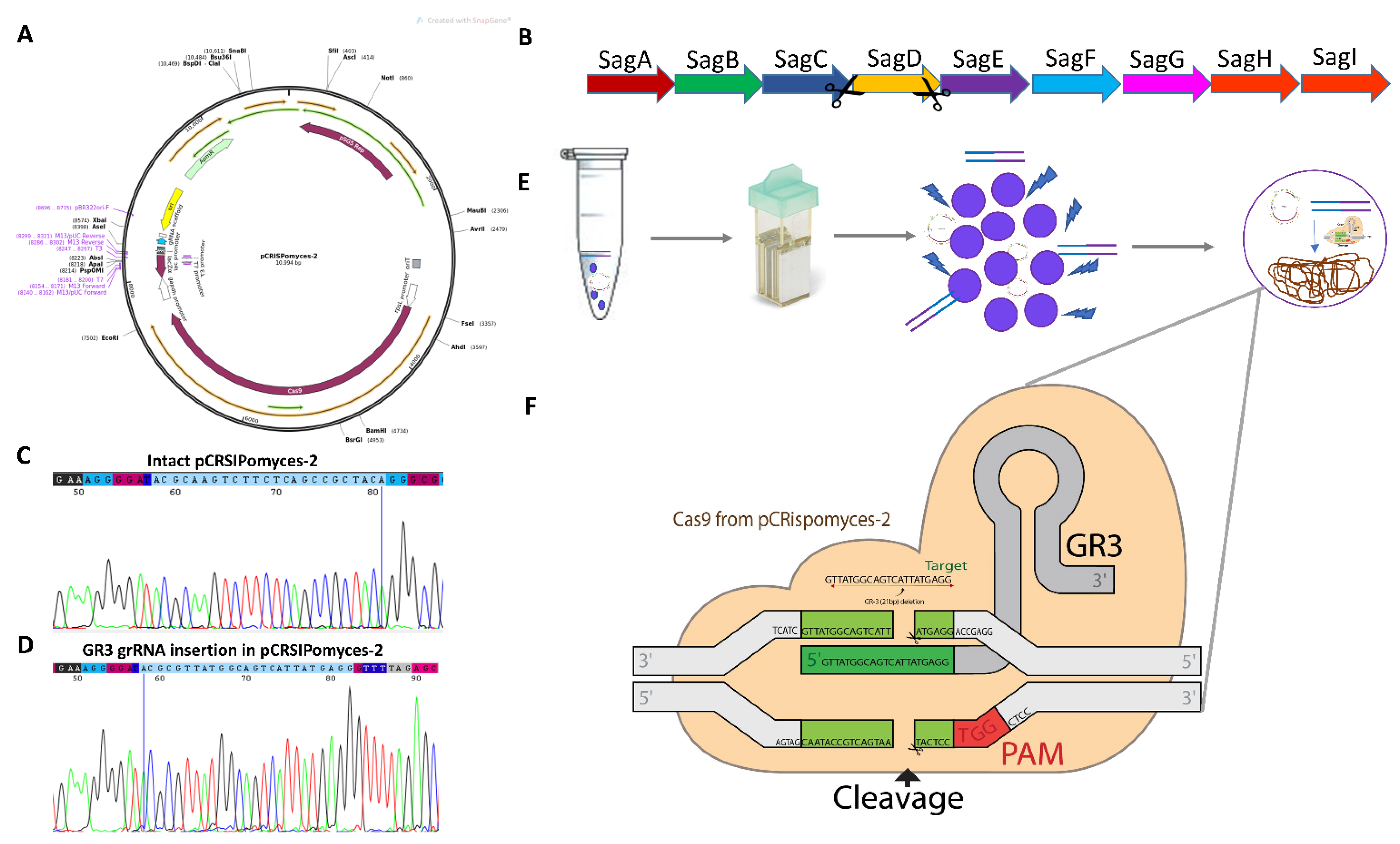 Microorganisms 10 00635 g001
