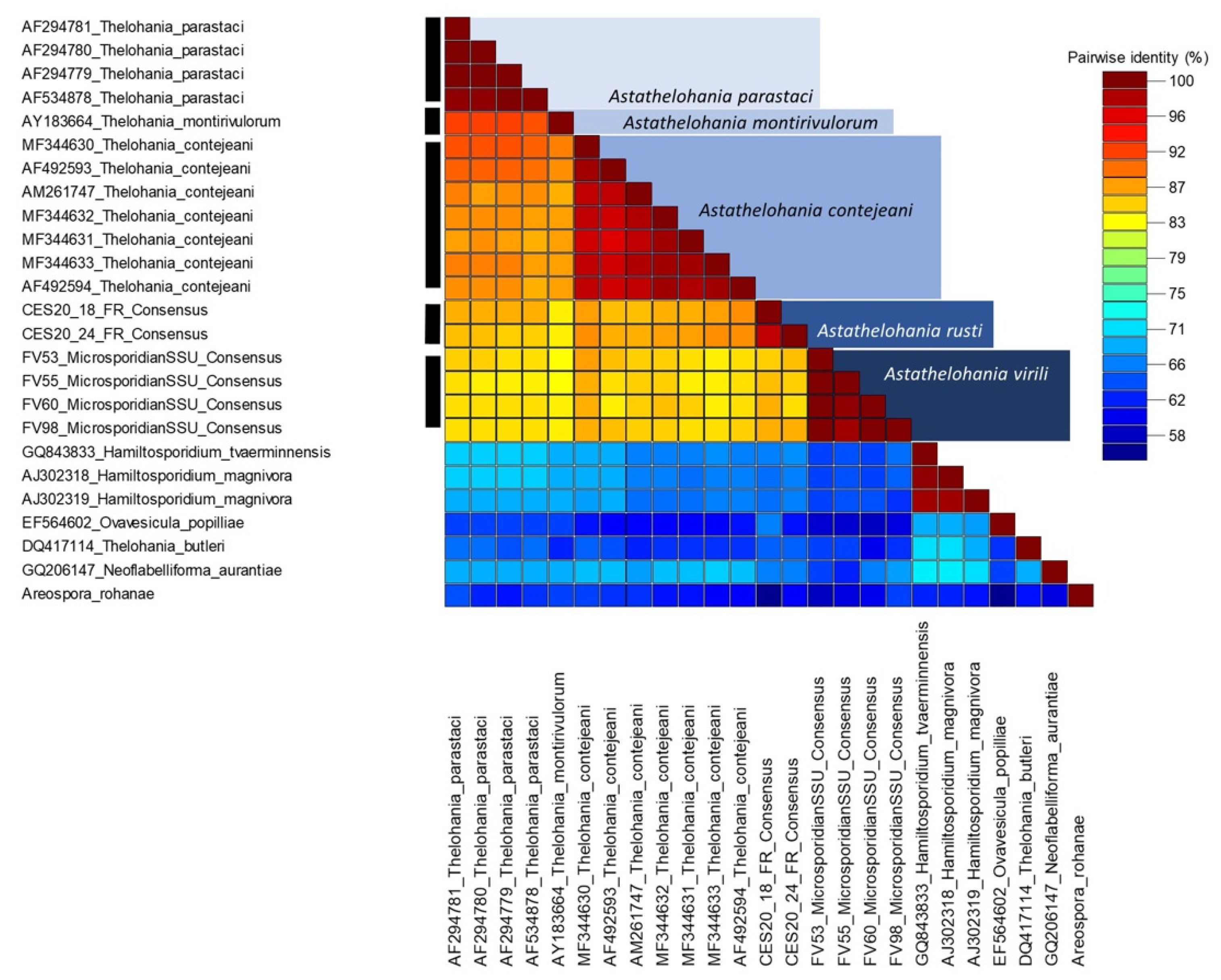 Microorganisms 10 00636 g005