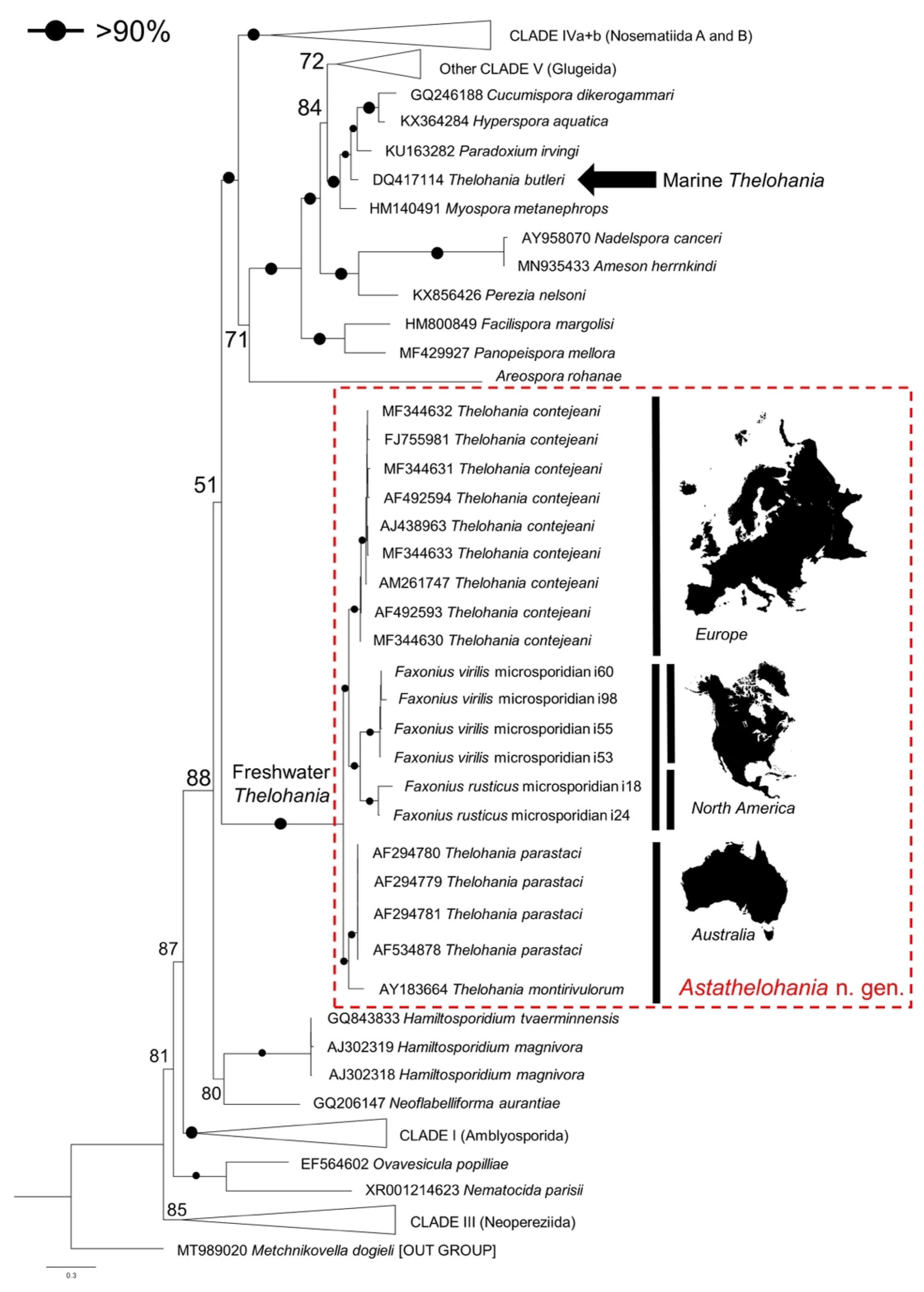 Microorganisms 10 00636 g006