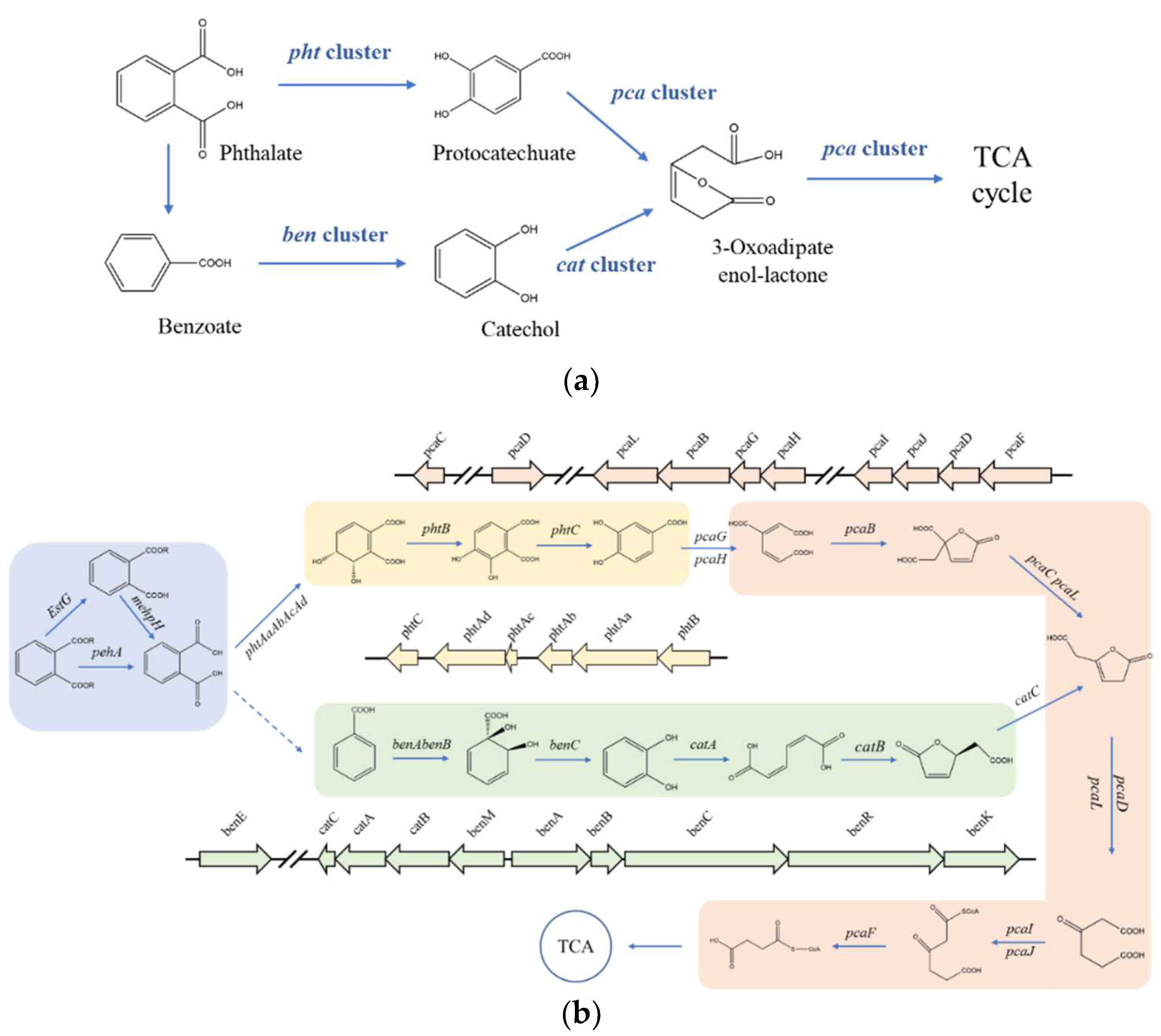 Microorganisms 10 00641 g004