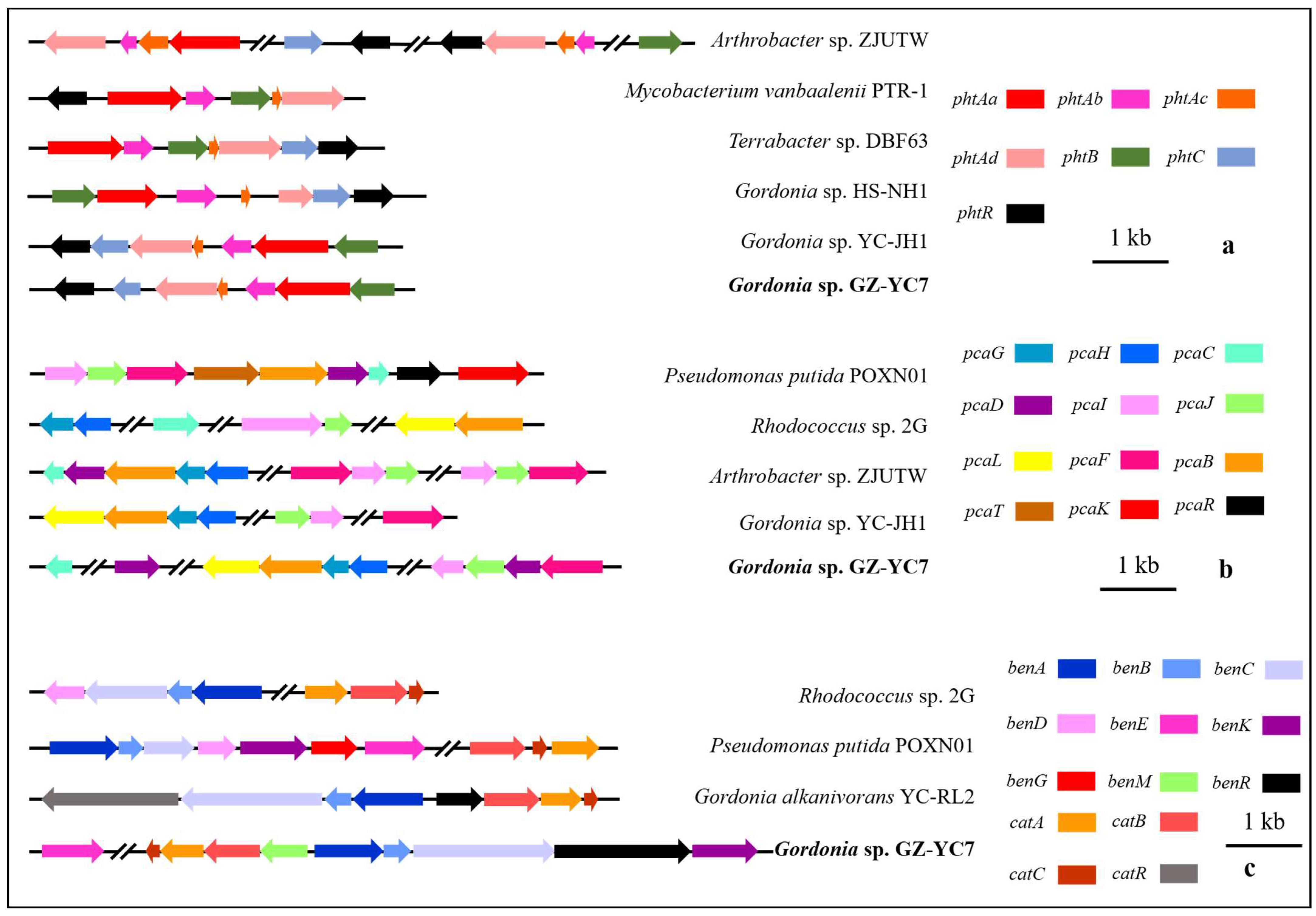 Microorganisms 10 00641 g005