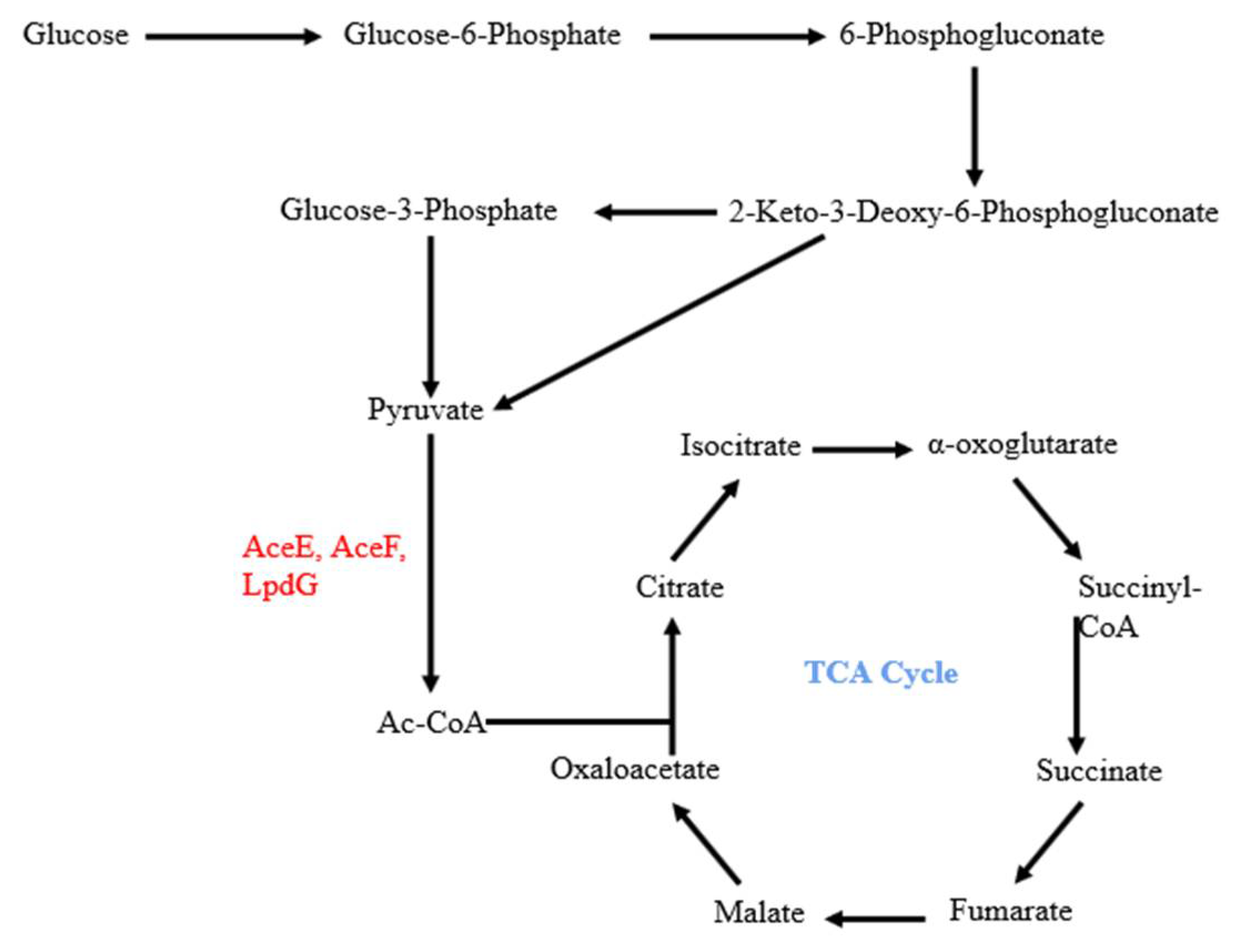 Microorganisms 10 00666 g001