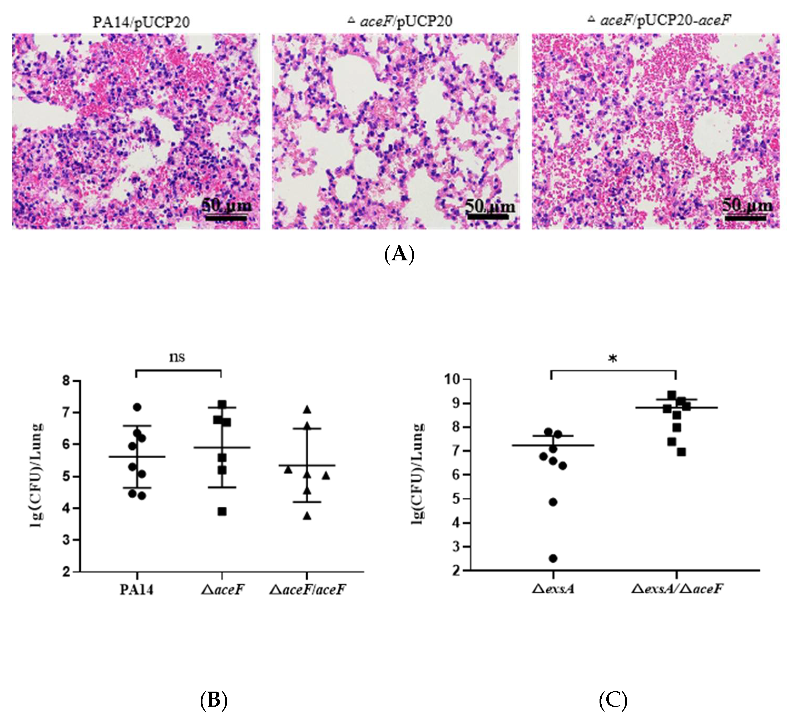 Microorganisms 10 00666 g005