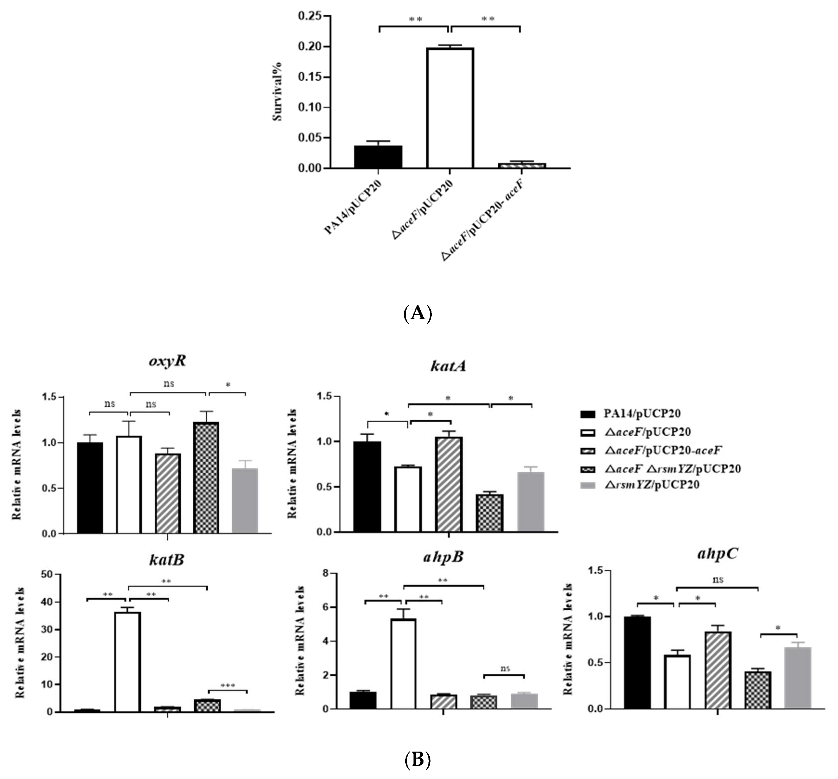 Microorganisms 10 00666 g006a