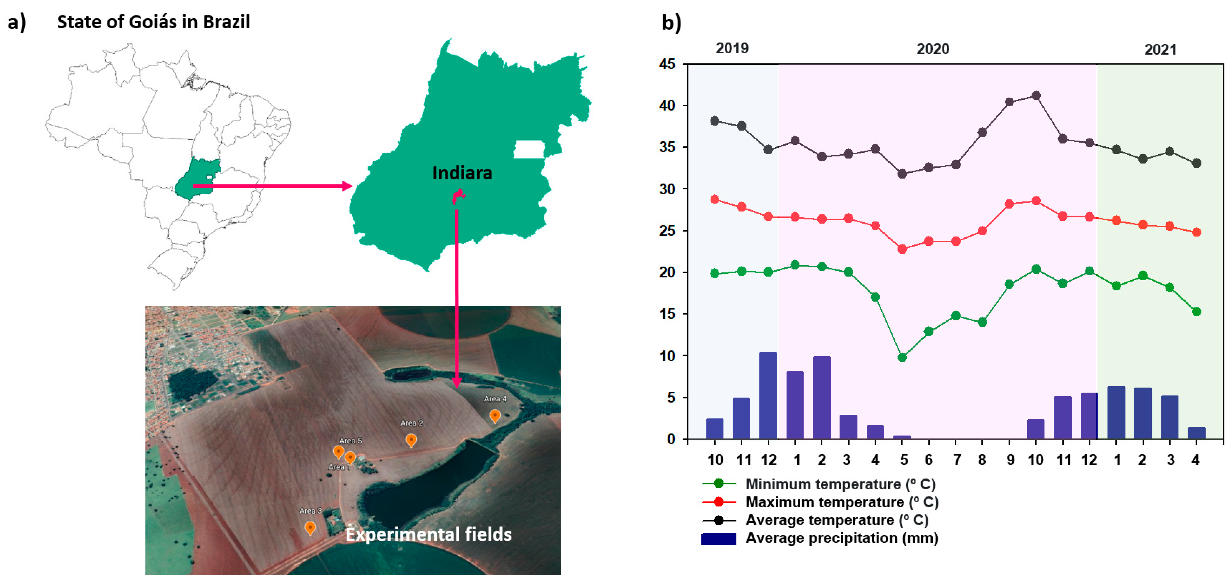 Microorganisms 10 00691 g001