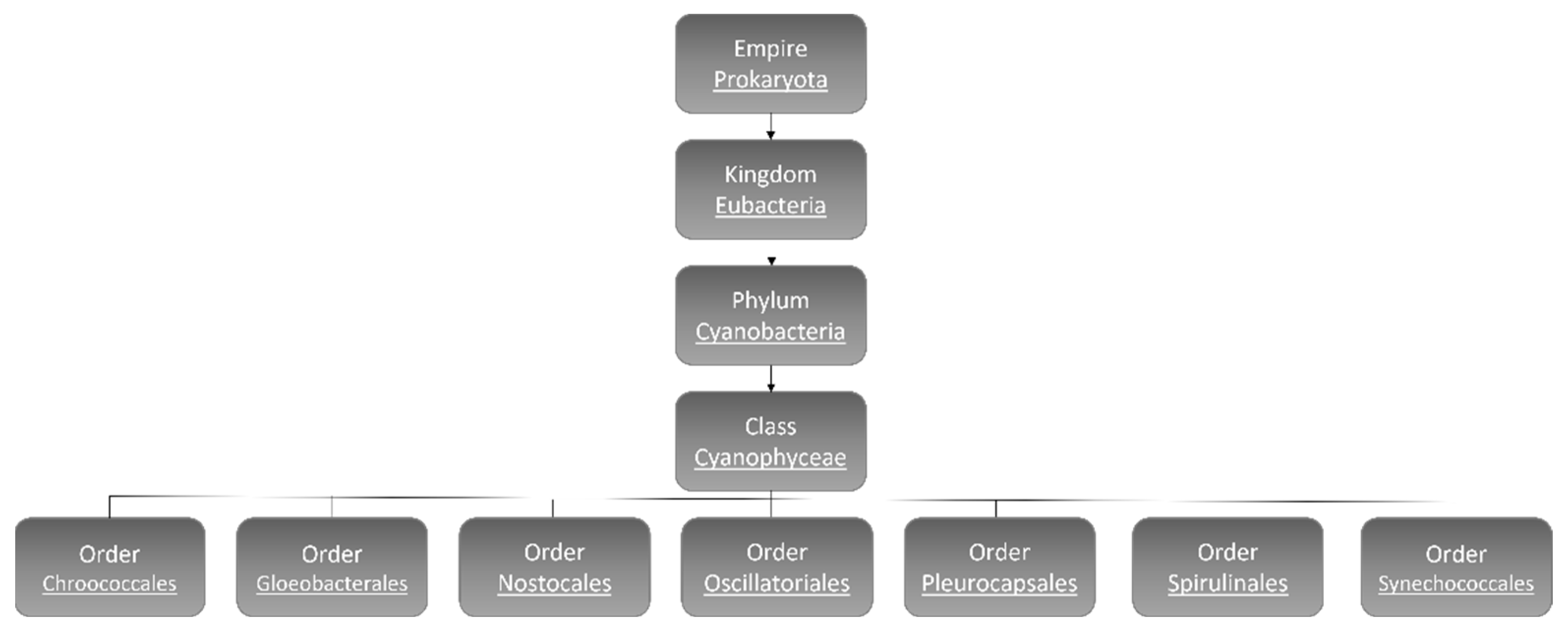 Microorganisms 10 00696 g001