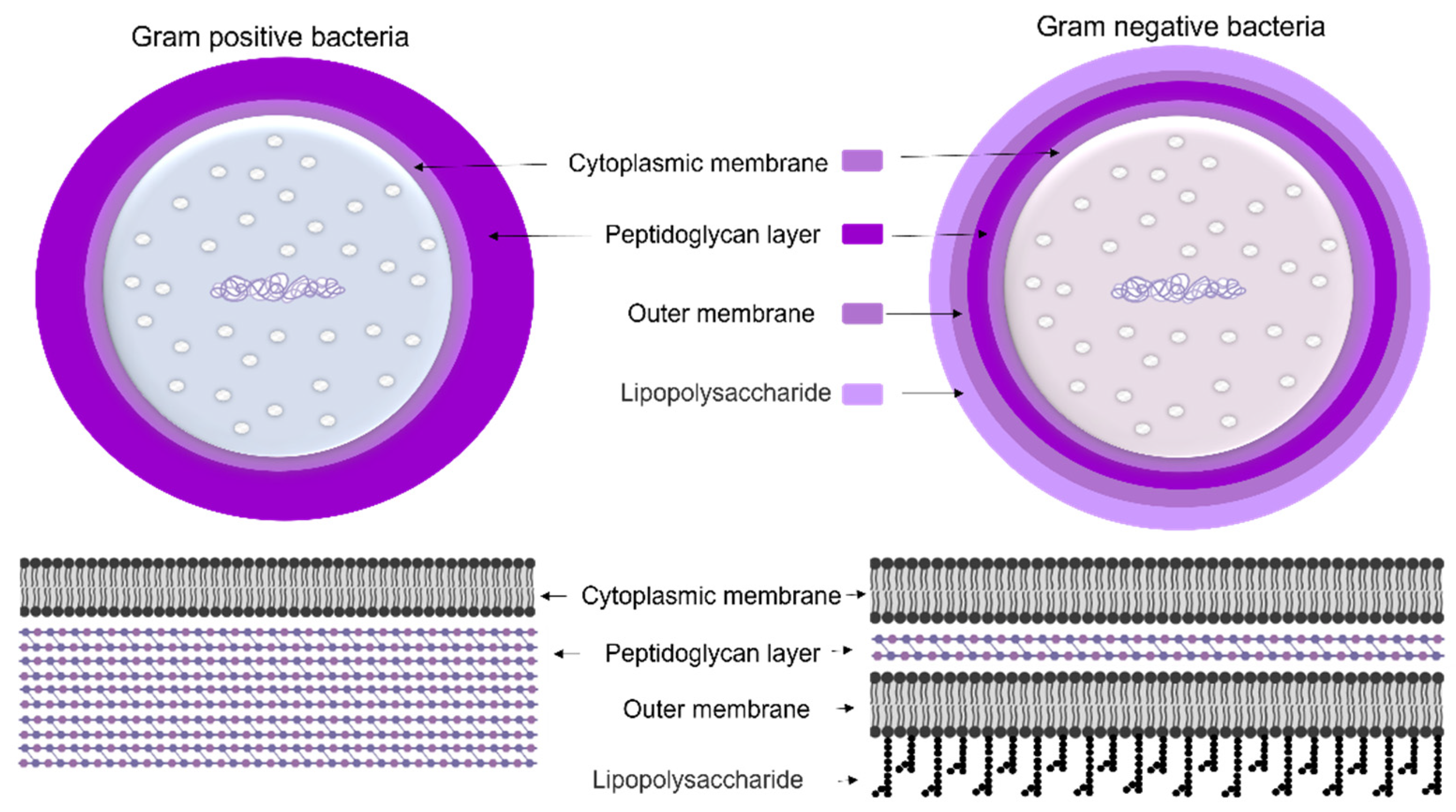Microorganisms 10 00696 g004