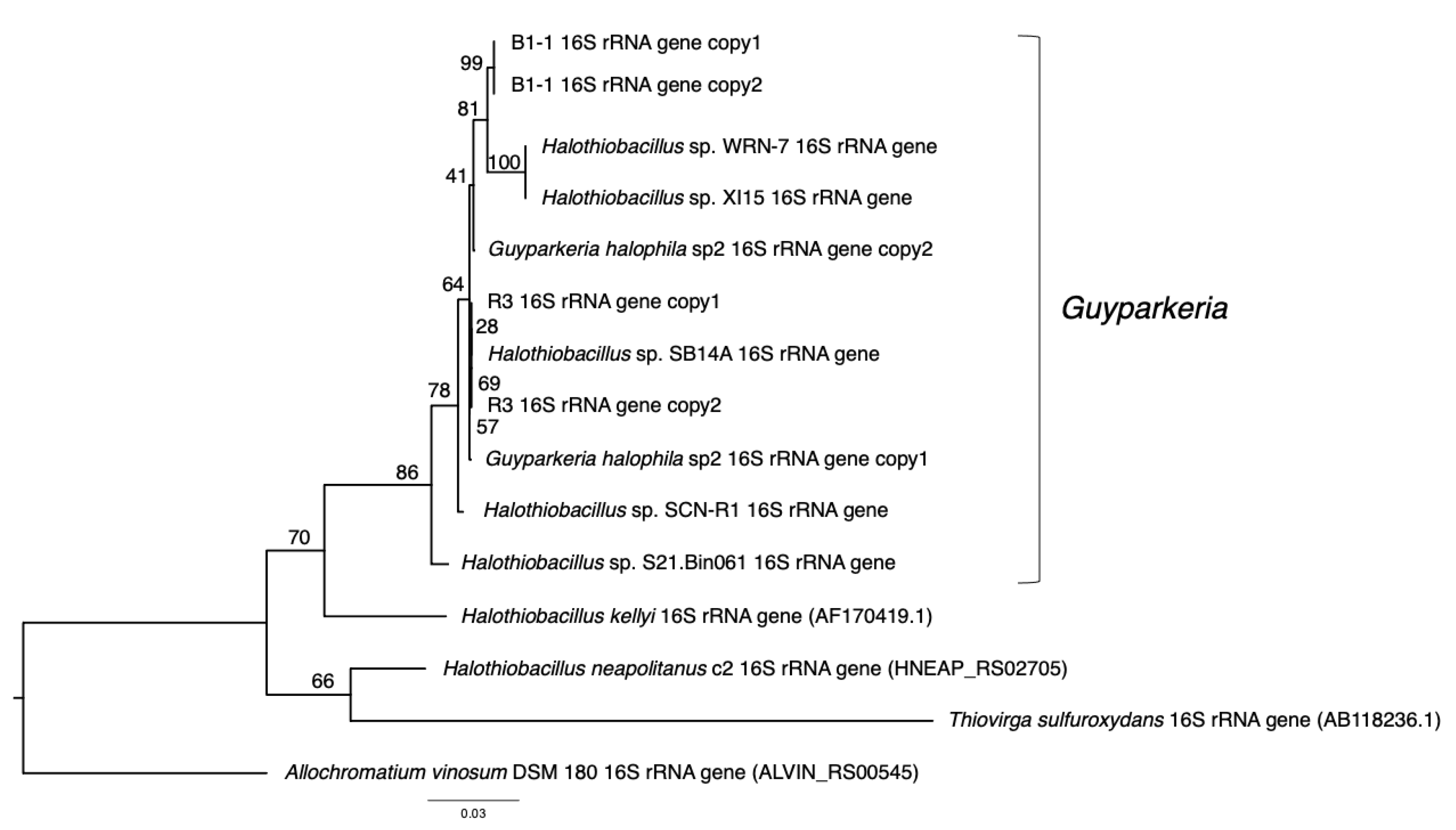 Microorganisms 10 00724 g001