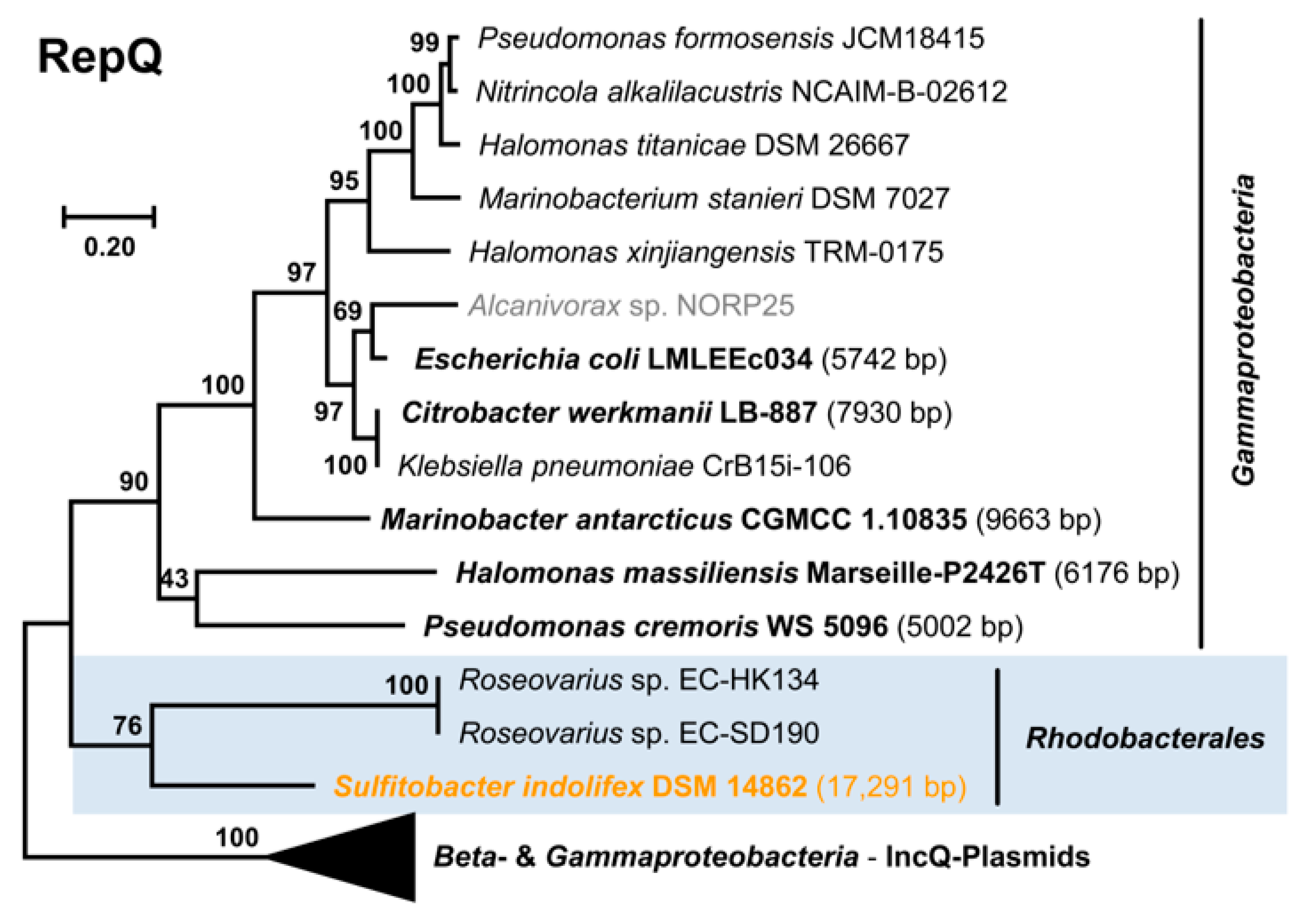 Microorganisms 10 00738 g003