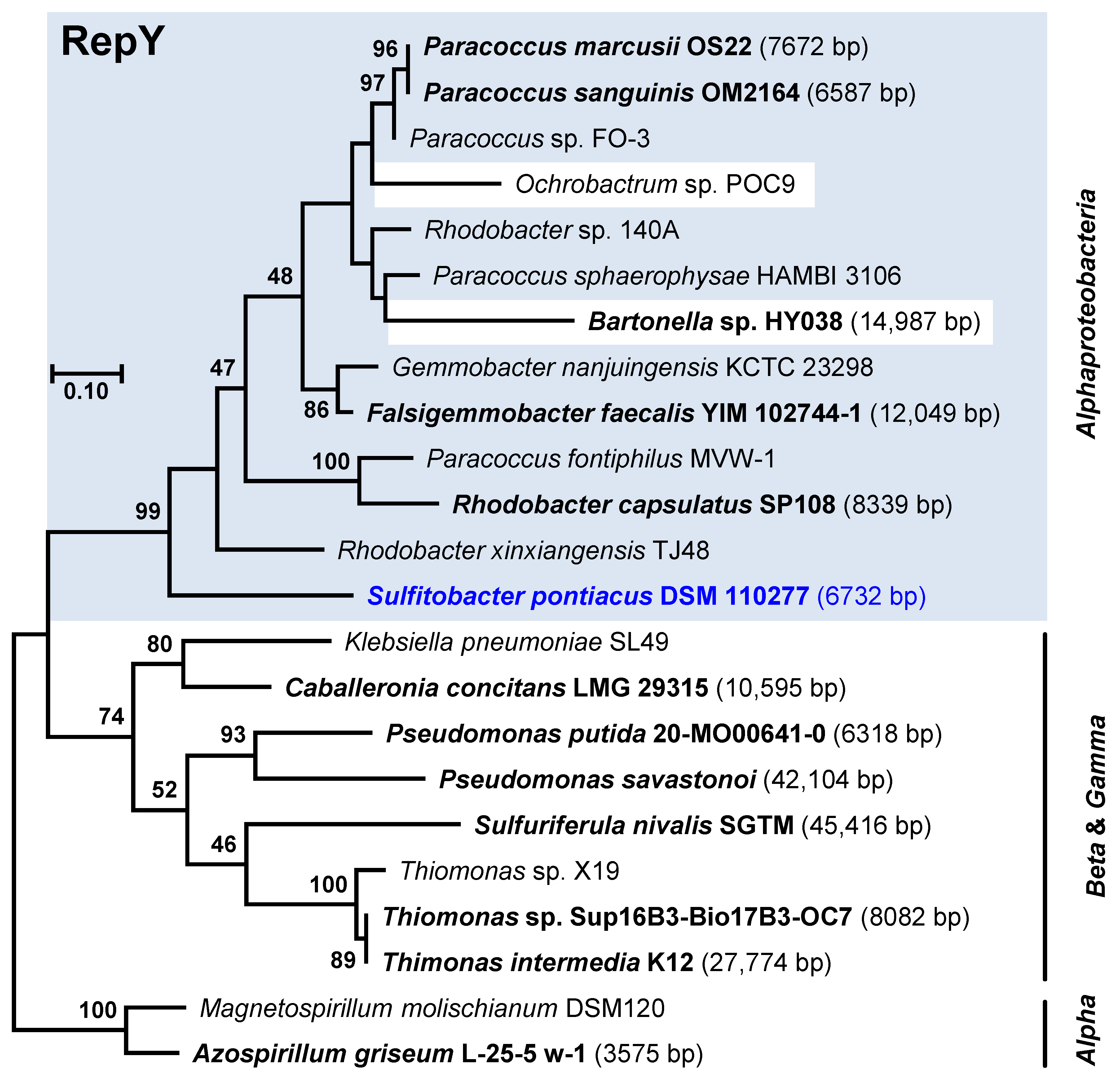 Microorganisms 10 00738 g004