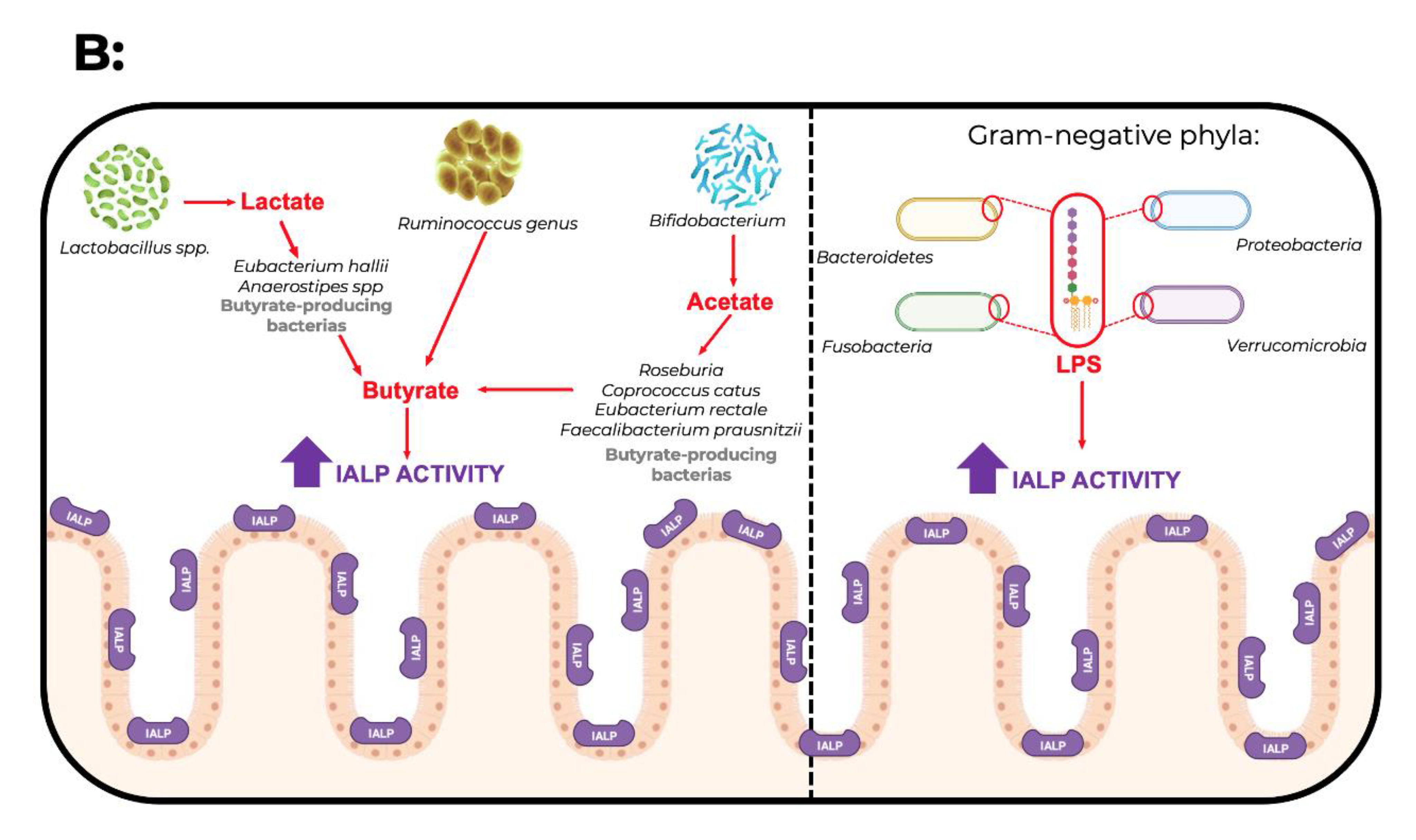 Microorganisms 10 00746 g002b