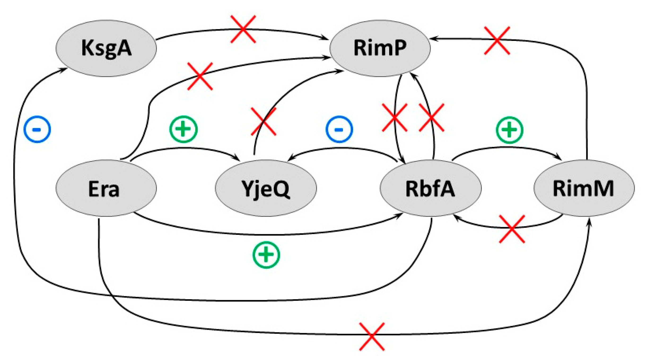 Microorganisms 10 00747 g006