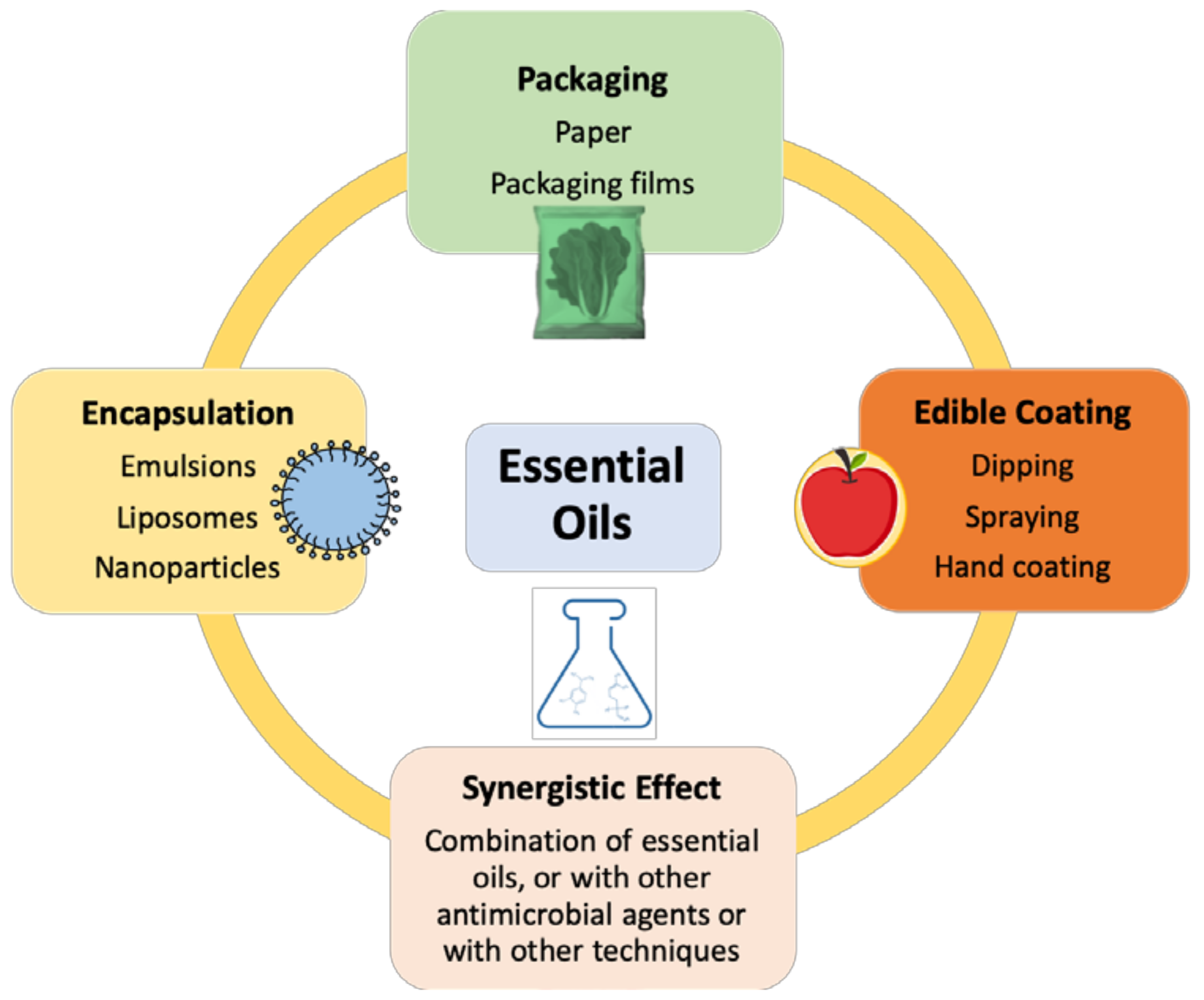 Microorganisms | Free Full-Text | Applications of Essential Oils as  Antibacterial Agents in Minimally Processed Fruits and Vegetables&mdash;A  Review