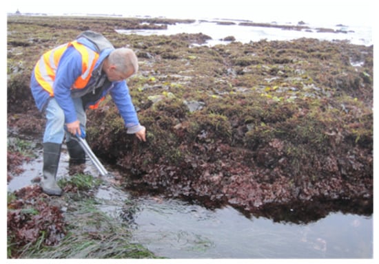 Researchers develop new method to analyze proteins in ecologically  significant moss