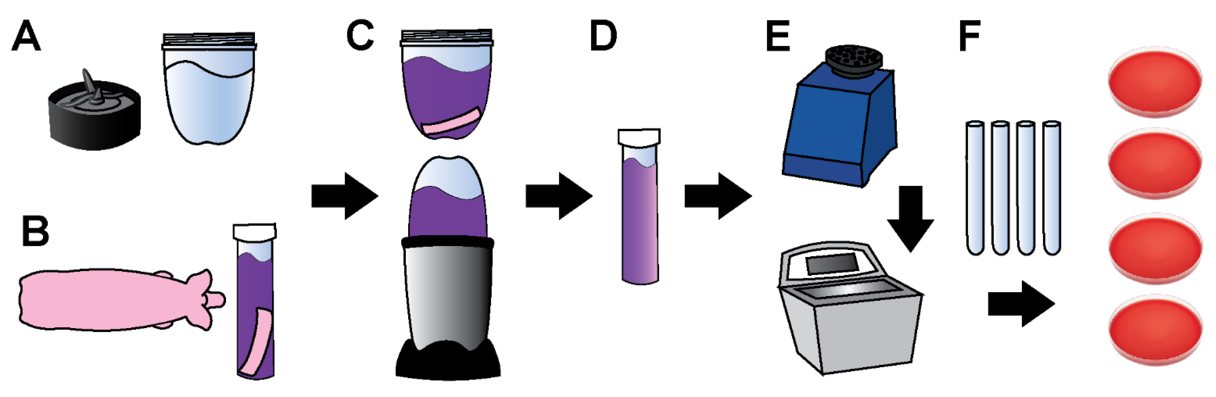 Microorganisms 10 00837 g003