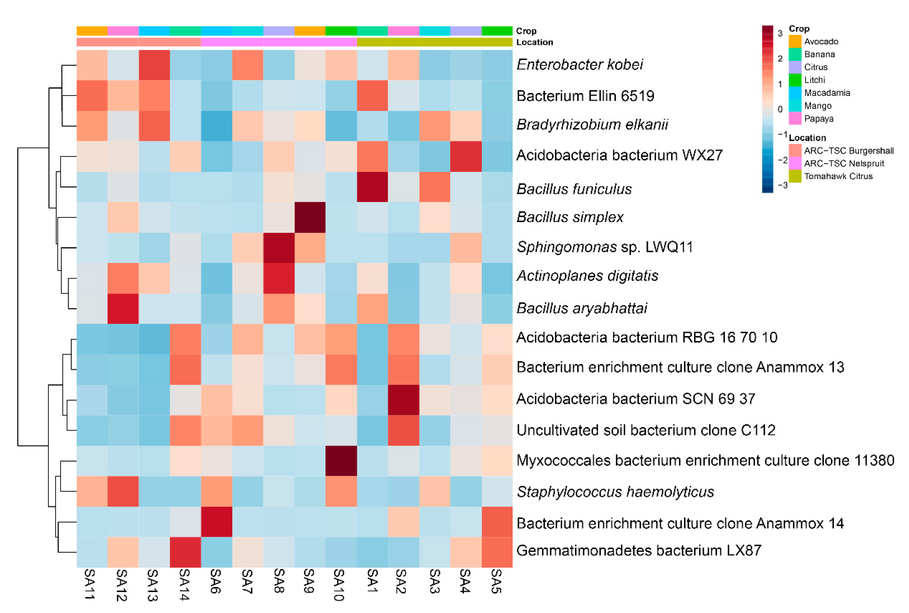 Microorganisms 10 00894 g008
