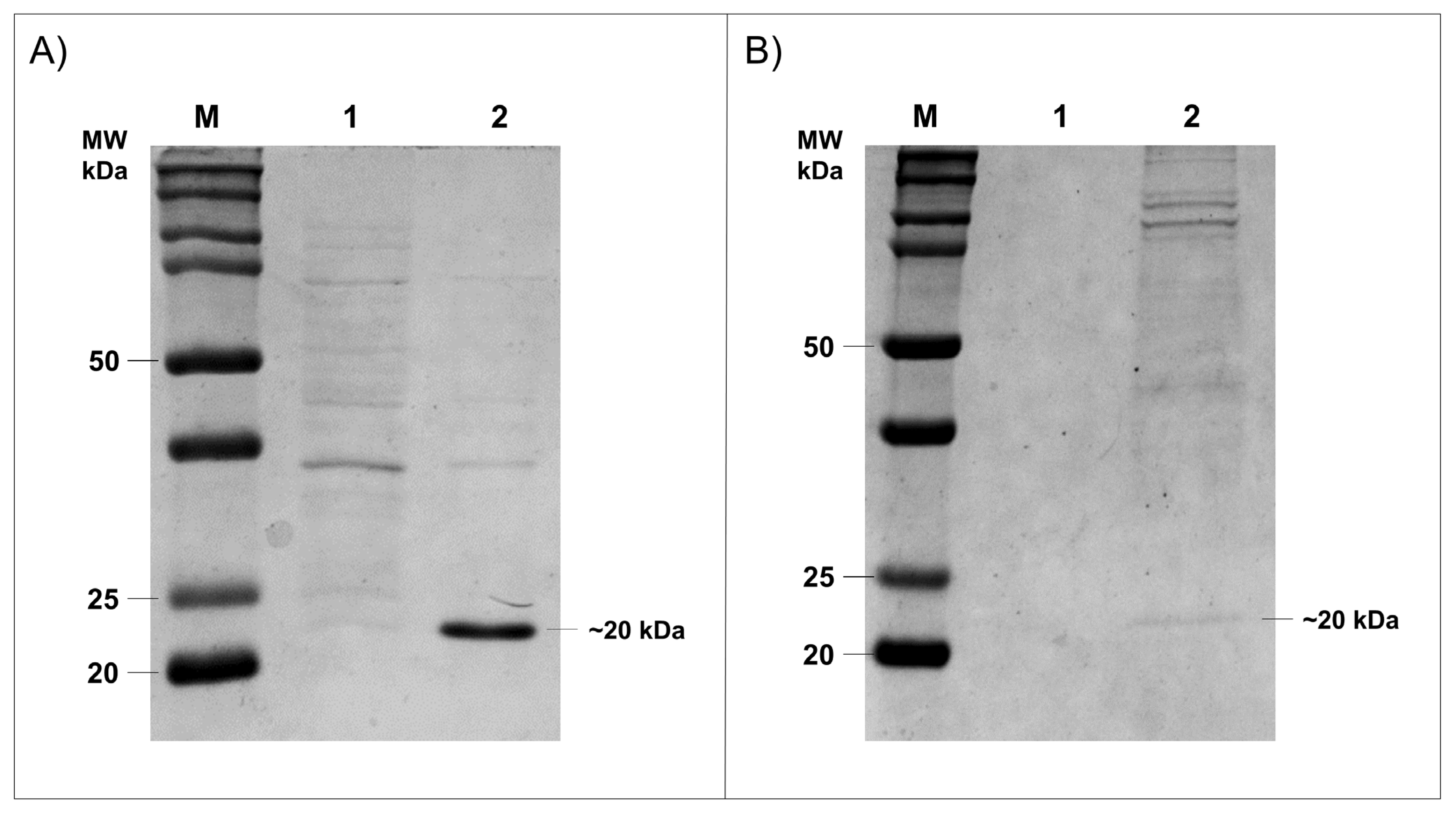 Microorganisms 10 00906 g004 Microorganisms 10 00906 g004