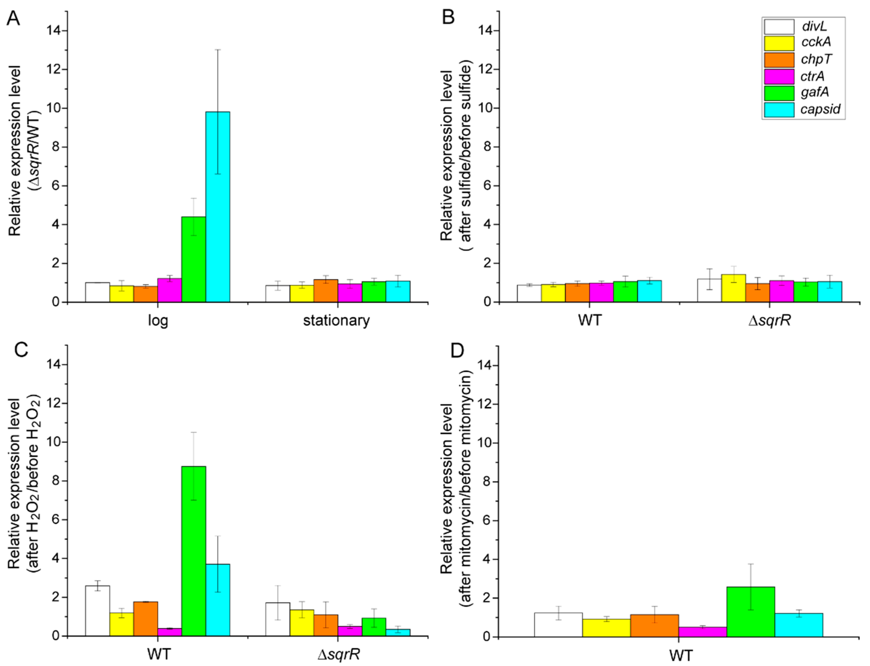 Microorganisms 10 00908 g002