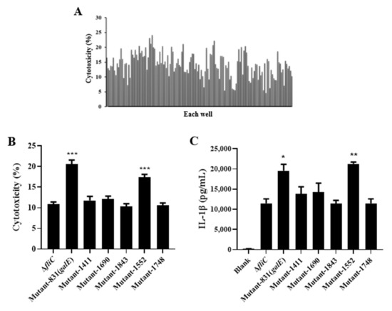 Microorganisms Free Full Text Salmonella Enteritidis GalE