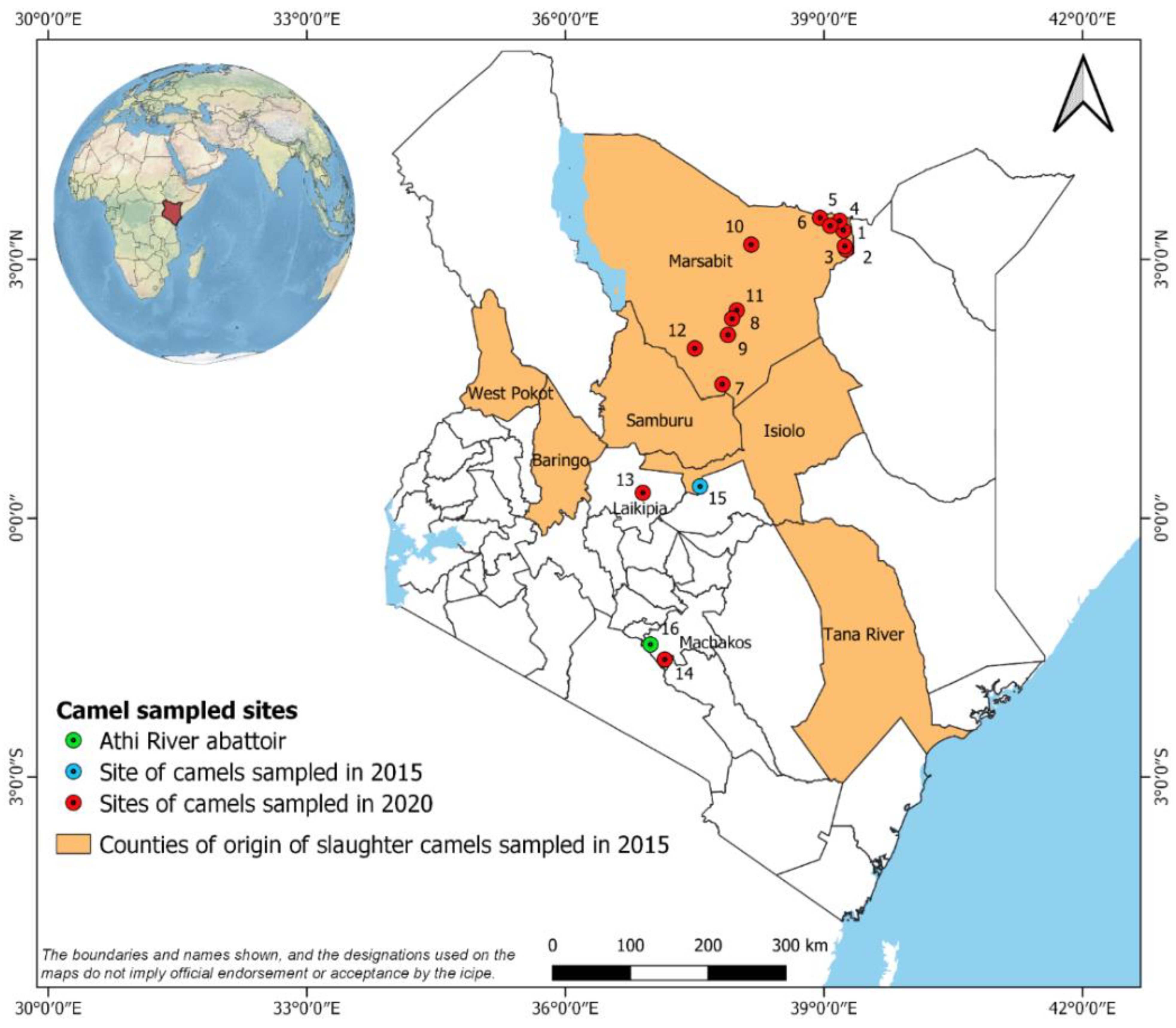 Microorganisms | Free Full-Text | Detection of Antibodies to Ehrlichia spp.  in Dromedary Camels and Co-Grazing Sheep in Northern Kenya Using an  Ehrlichia ruminantium Polyclonal Competitive ELISA