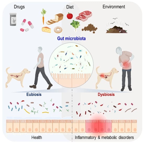 Microorganisms | Free Full-Text | Domestic Environment and Gut Microbiota:  Lessons from Pet Dogs | HTML
