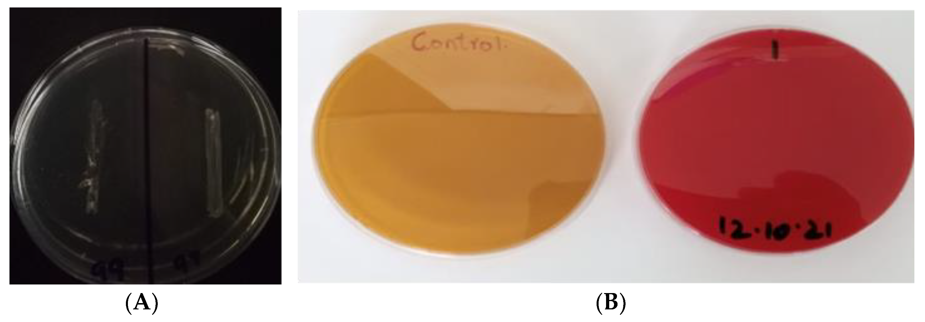 Microorganisms 10 00954 g006 Microorganisms 10 00954 g006